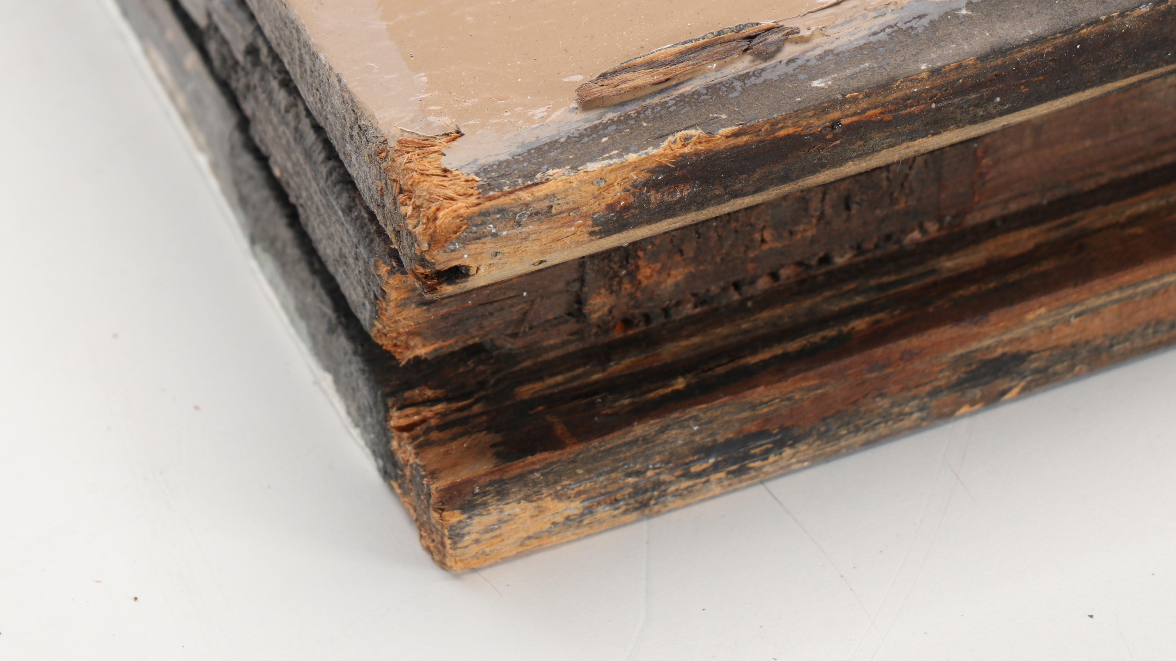 Stained Glass Window Pane with Swift in Shield Motif