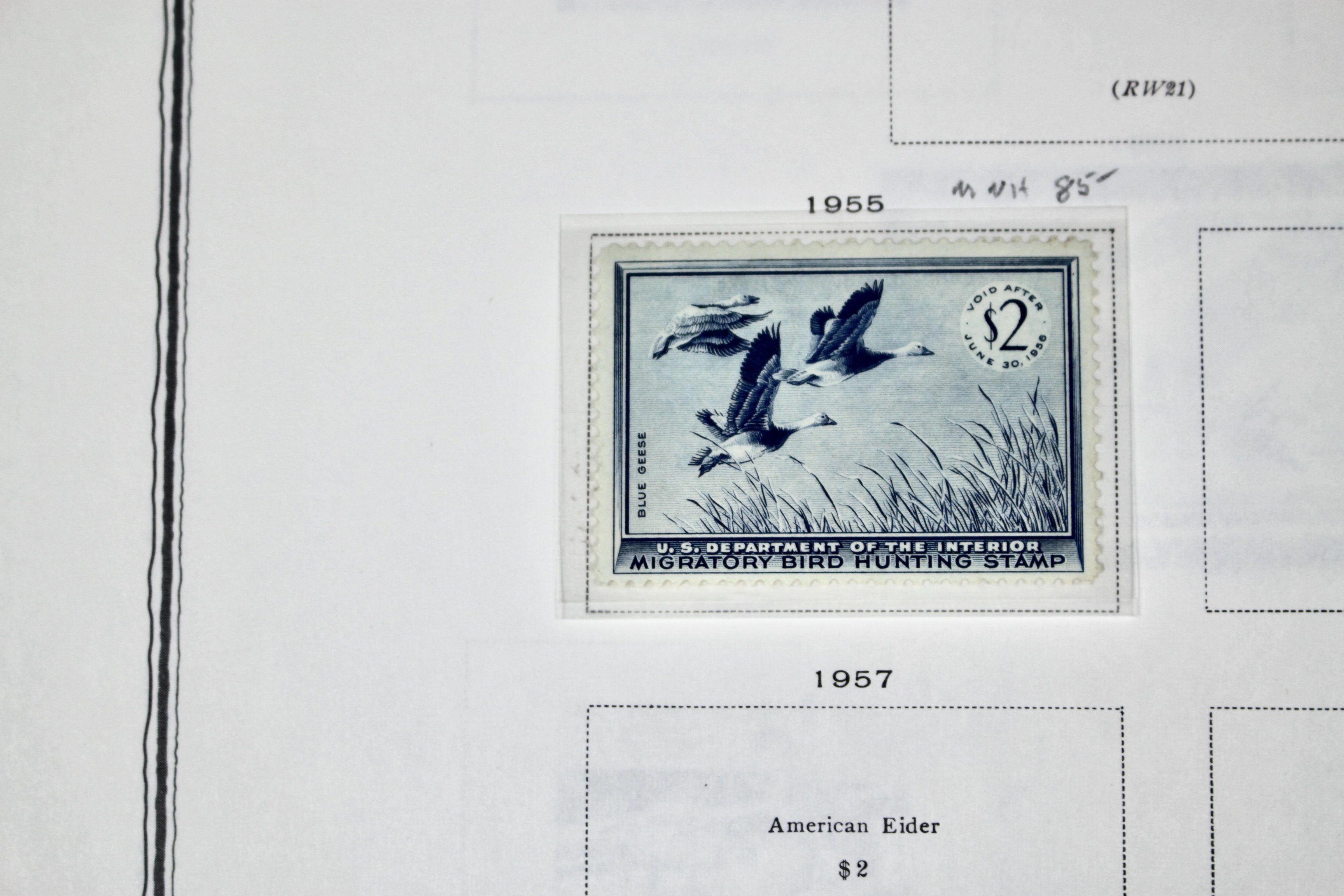 Extensive Early U.S. Duck Stamp Collection, 1934 to 1987