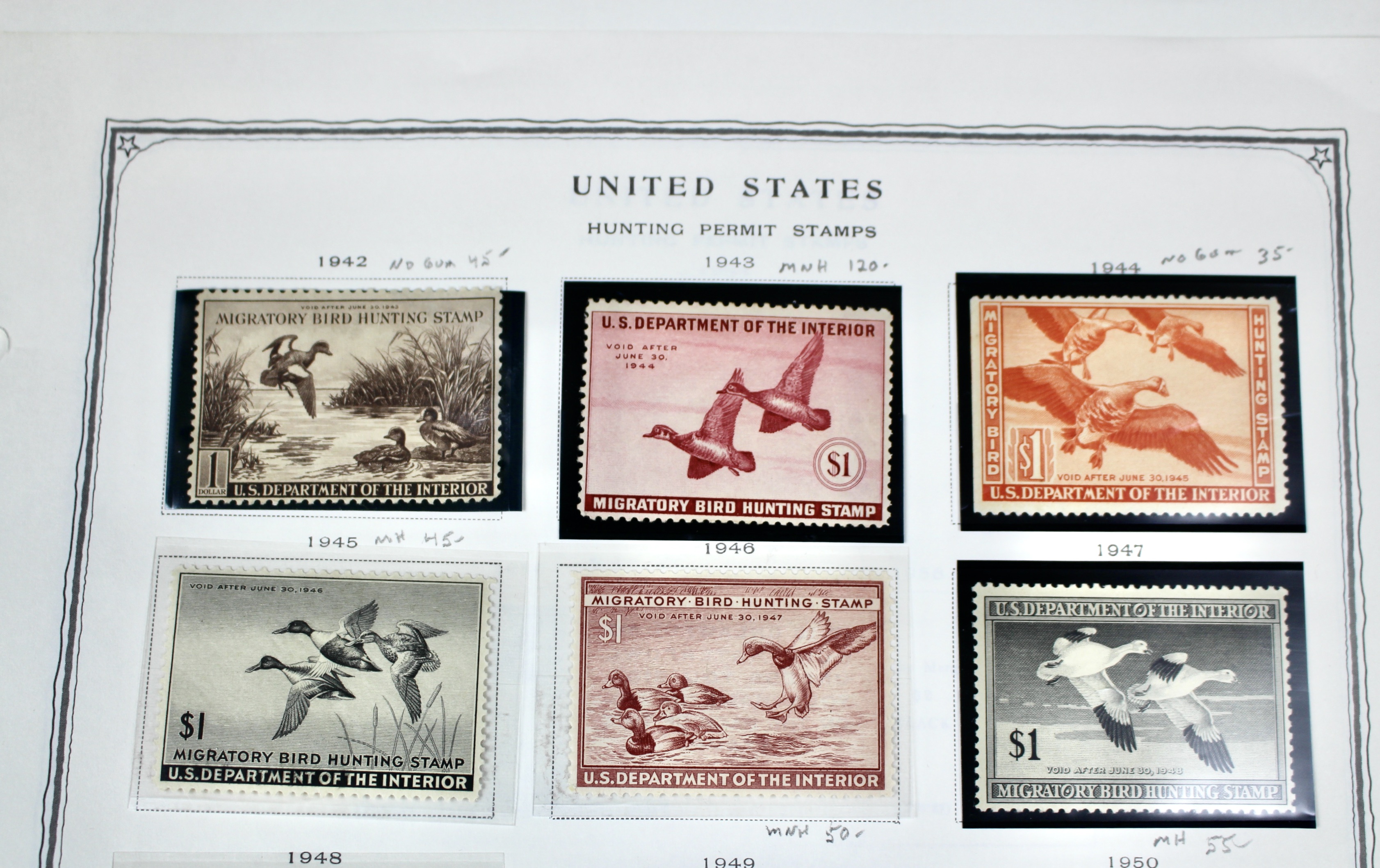 Extensive Early U.S. Duck Stamp Collection, 1934 to 1987