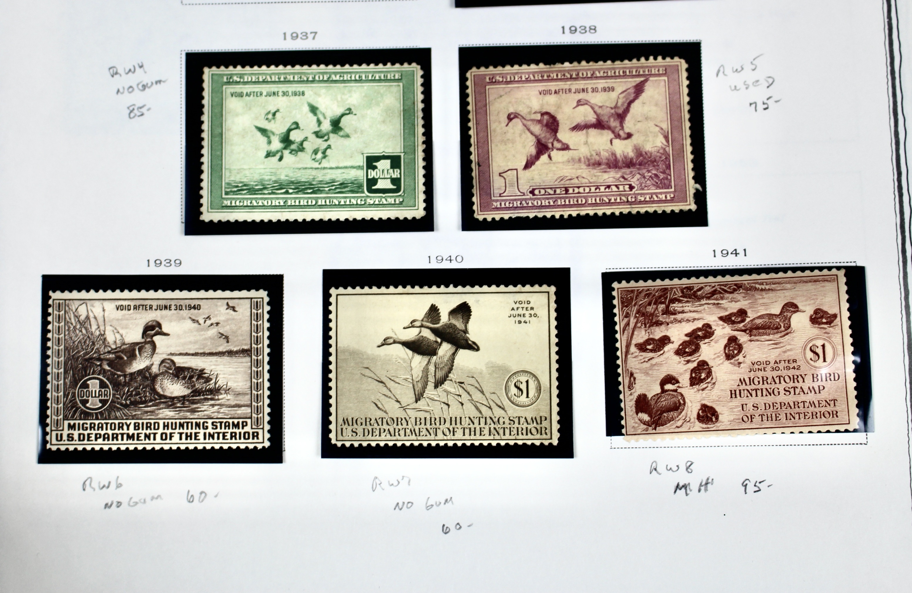 Extensive Early U.S. Duck Stamp Collection, 1934 to 1987