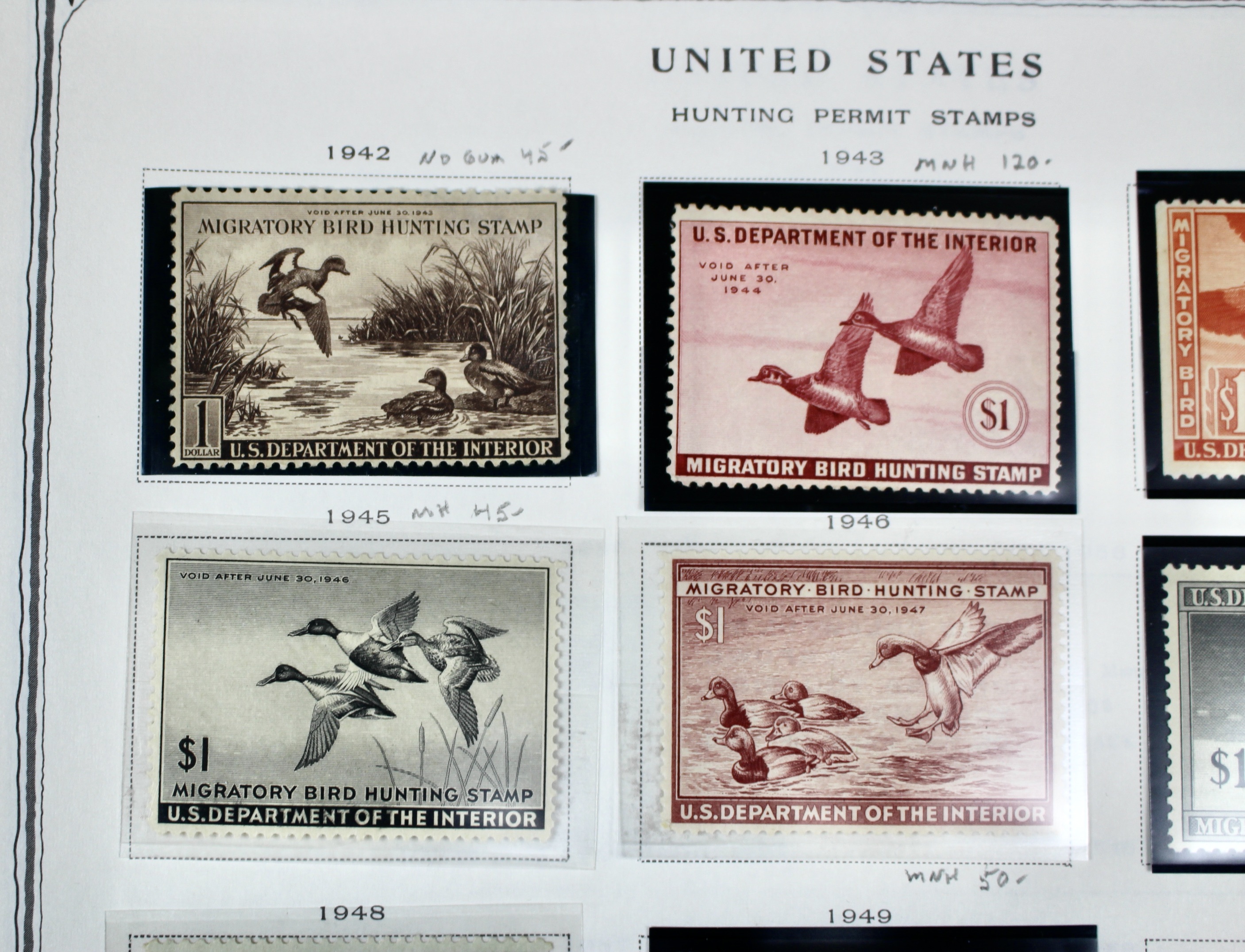 Extensive Early U.S. Duck Stamp Collection, 1934 to 1987