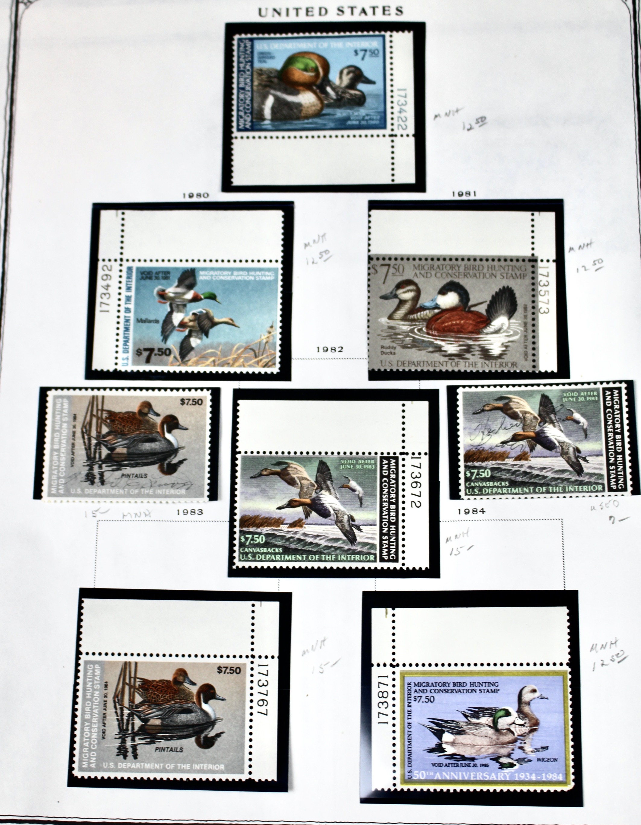 Extensive Early U.S. Duck Stamp Collection, 1934 to 1987