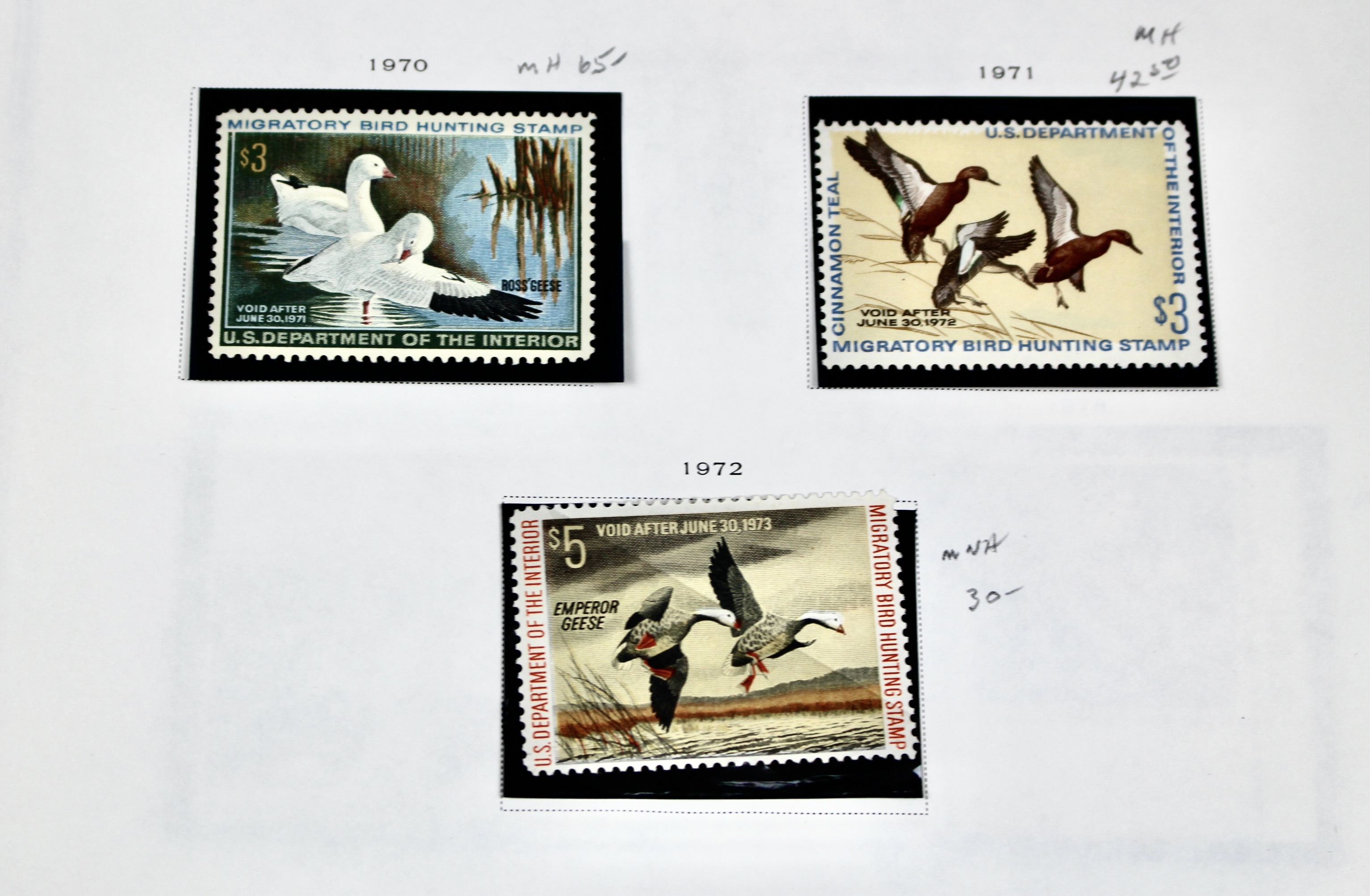 Extensive Early U.S. Duck Stamp Collection, 1934 to 1987