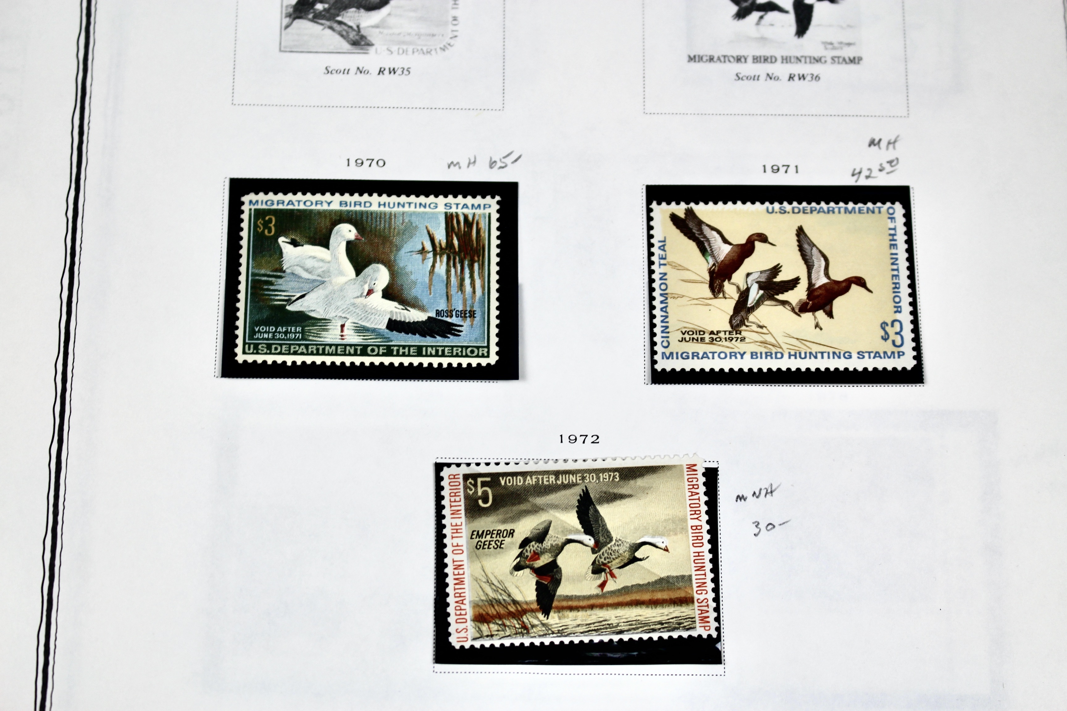 Extensive Early U.S. Duck Stamp Collection, 1934 to 1987