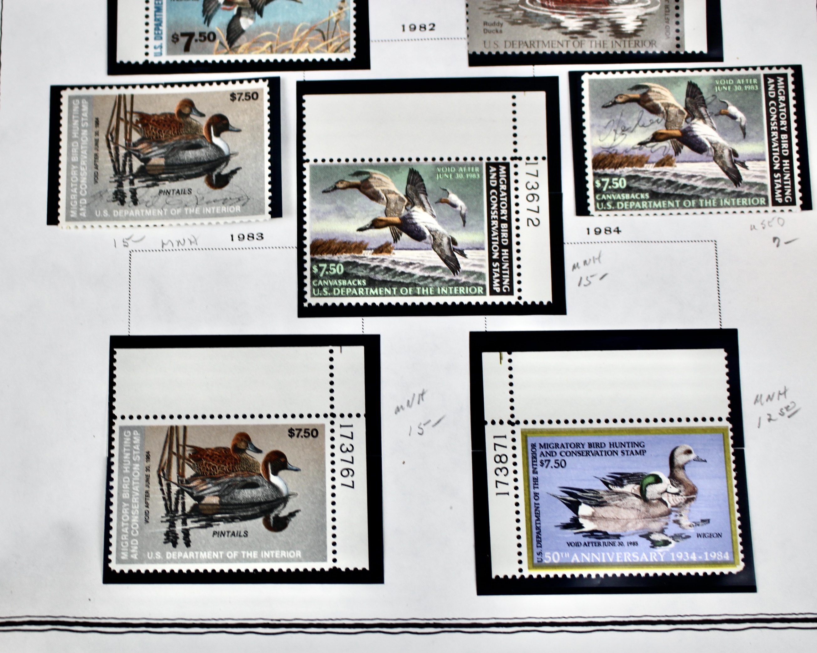 Extensive Early U.S. Duck Stamp Collection, 1934 to 1987