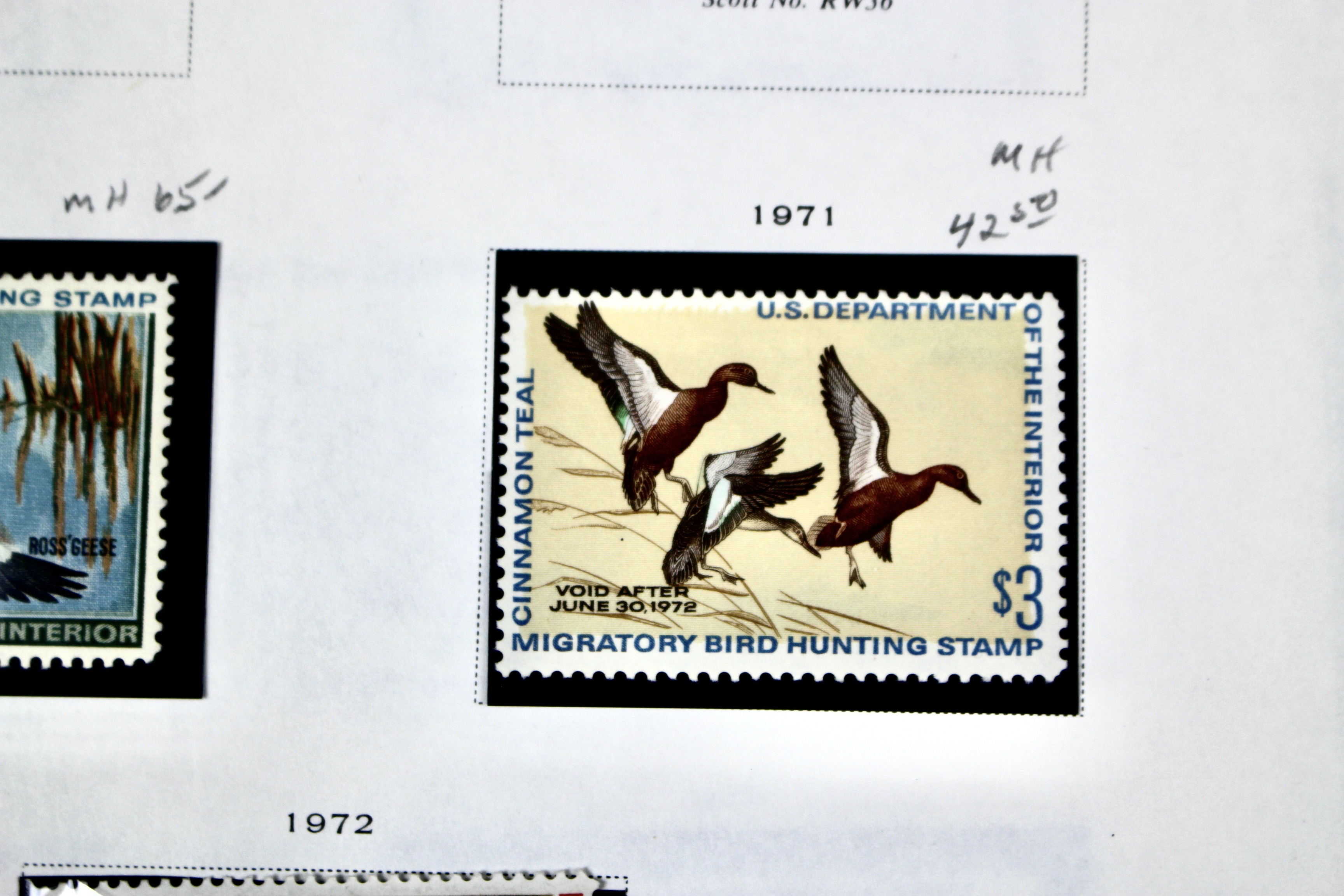 Extensive Early U.S. Duck Stamp Collection, 1934 to 1987