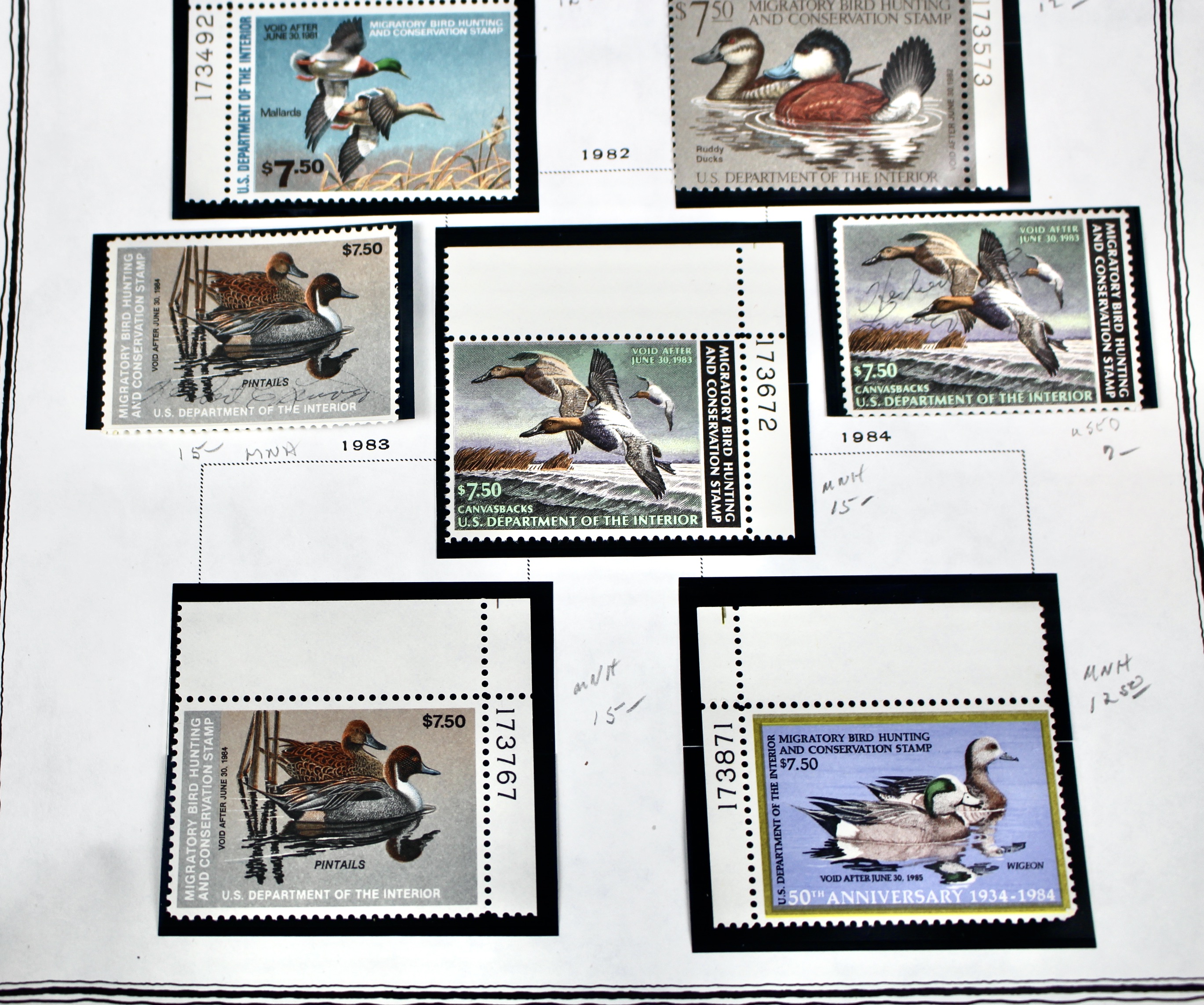 Extensive Early U.S. Duck Stamp Collection, 1934 to 1987