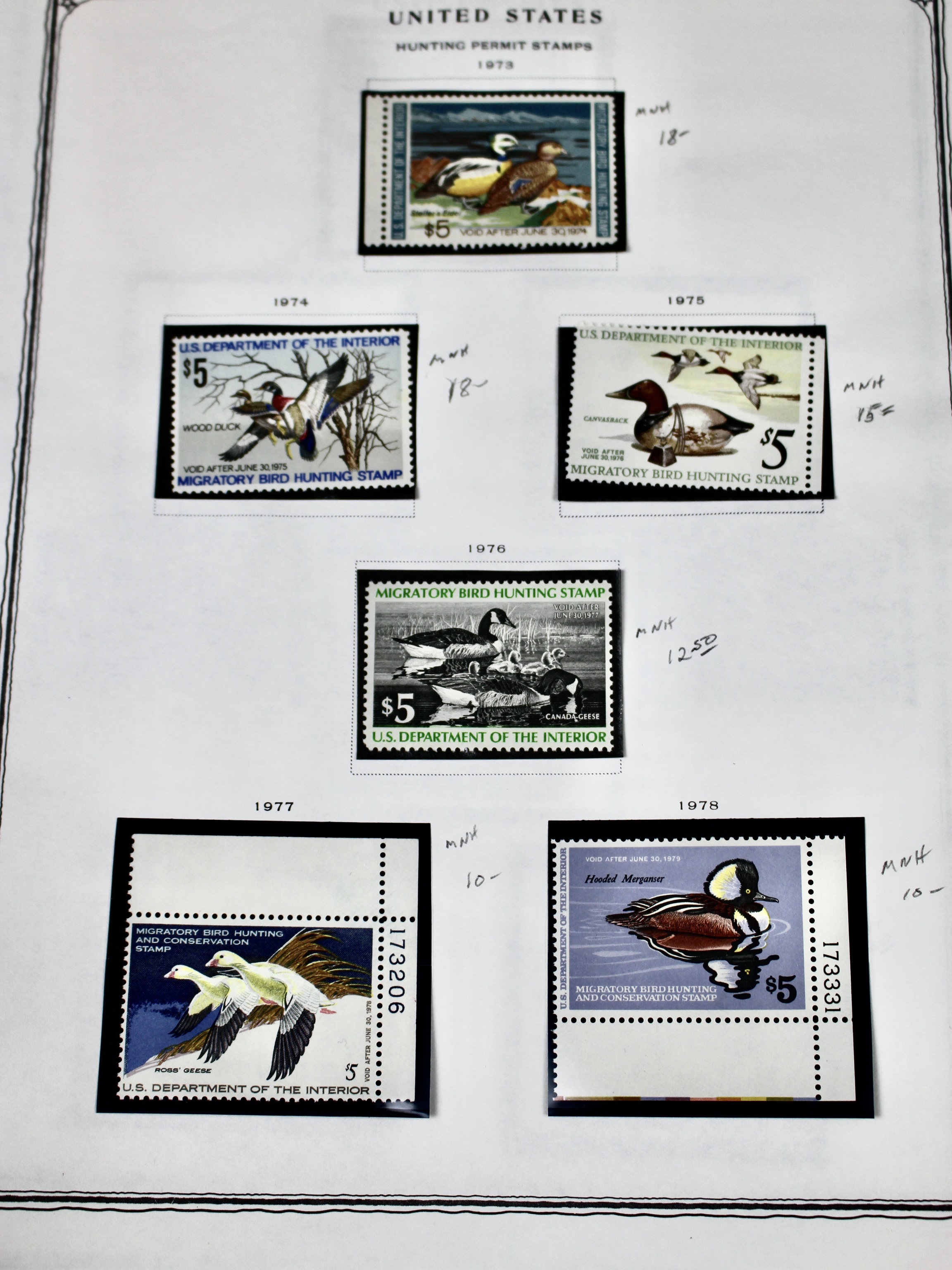 Extensive Early U.S. Duck Stamp Collection, 1934 to 1987