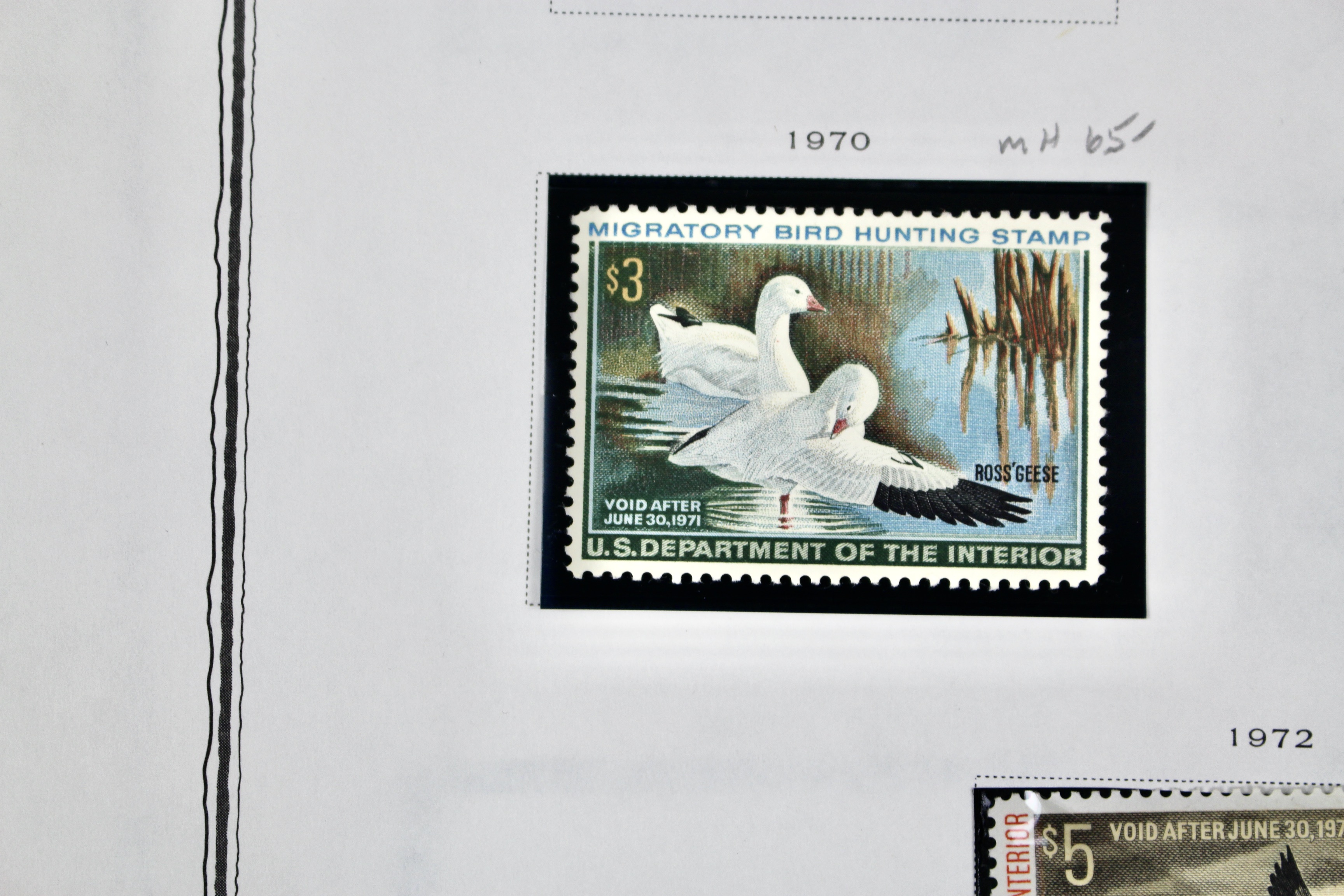 Extensive Early U.S. Duck Stamp Collection, 1934 to 1987