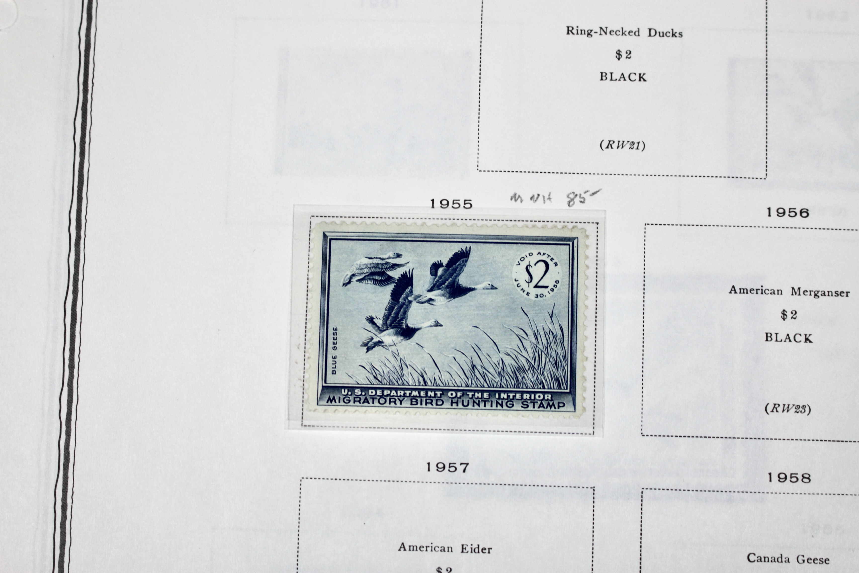Extensive Early U.S. Duck Stamp Collection, 1934 to 1987