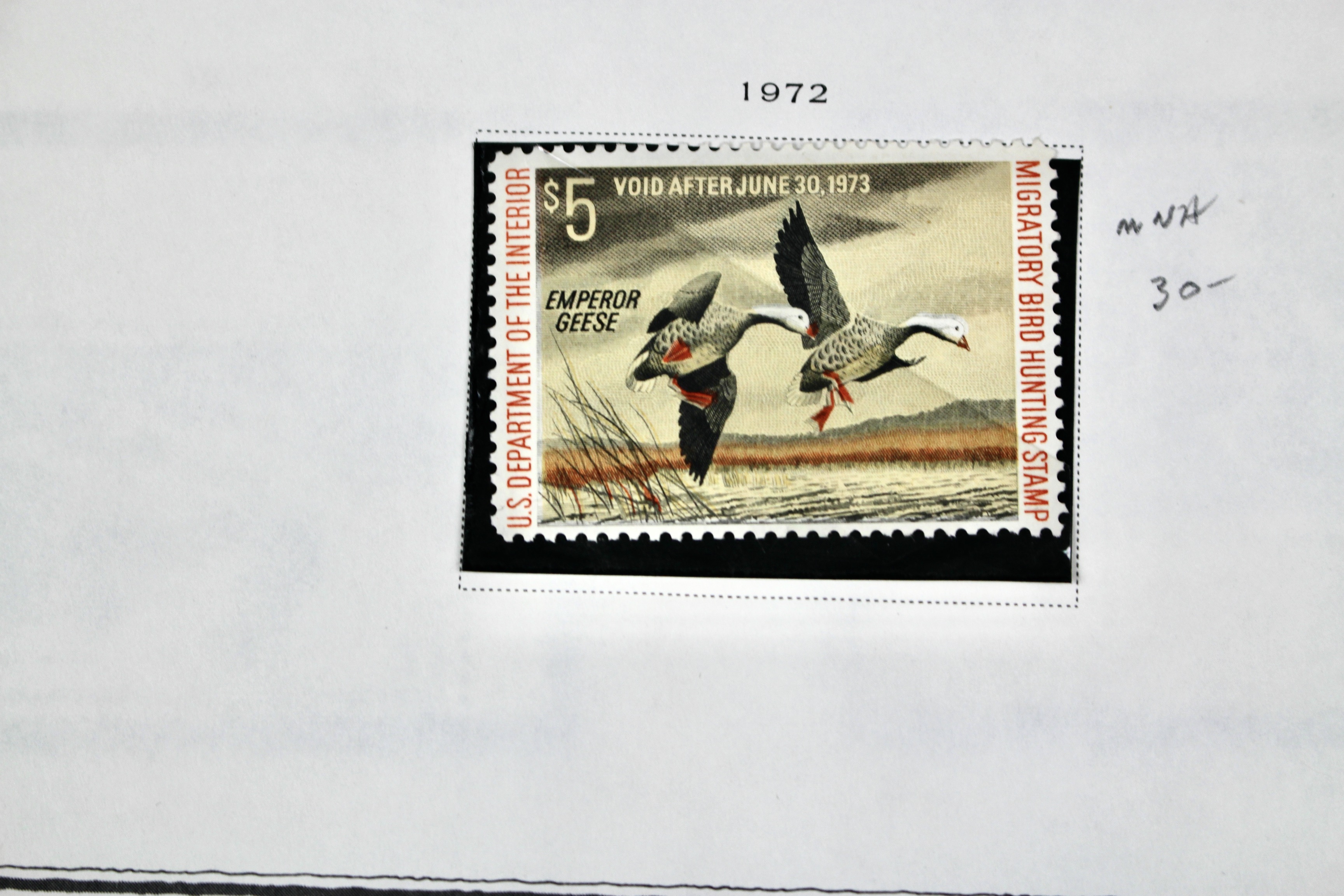 Extensive Early U.S. Duck Stamp Collection, 1934 to 1987