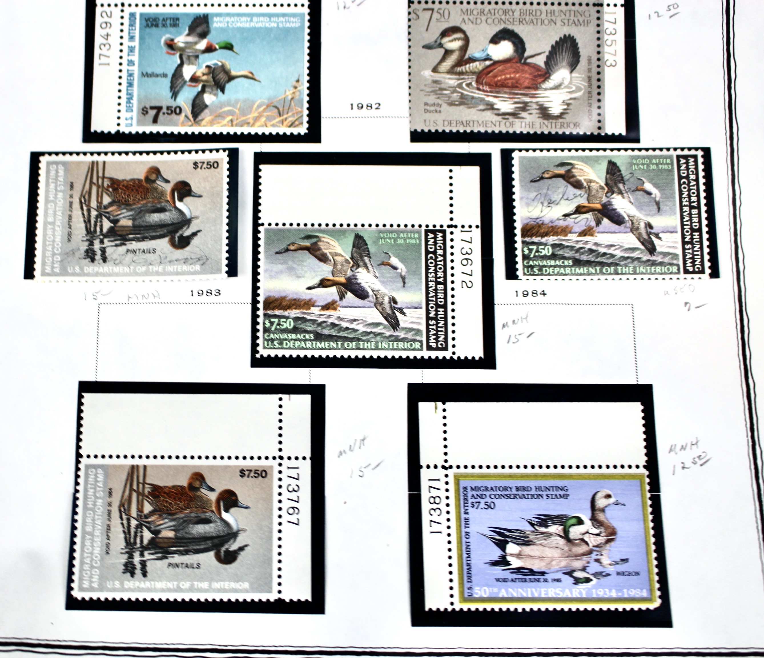 Extensive Early U.S. Duck Stamp Collection, 1934 to 1987
