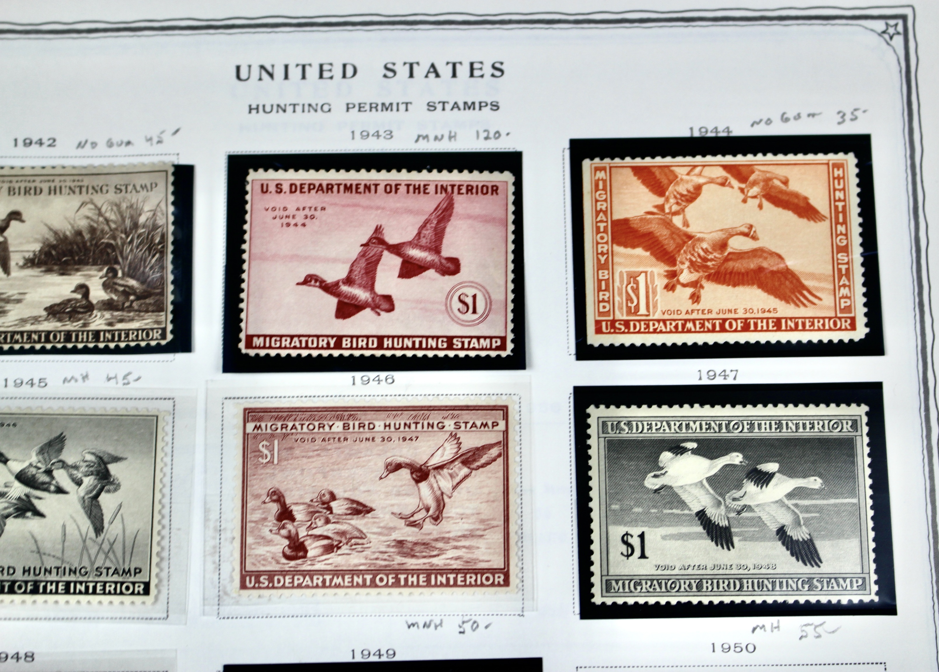 Extensive Early U.S. Duck Stamp Collection, 1934 to 1987