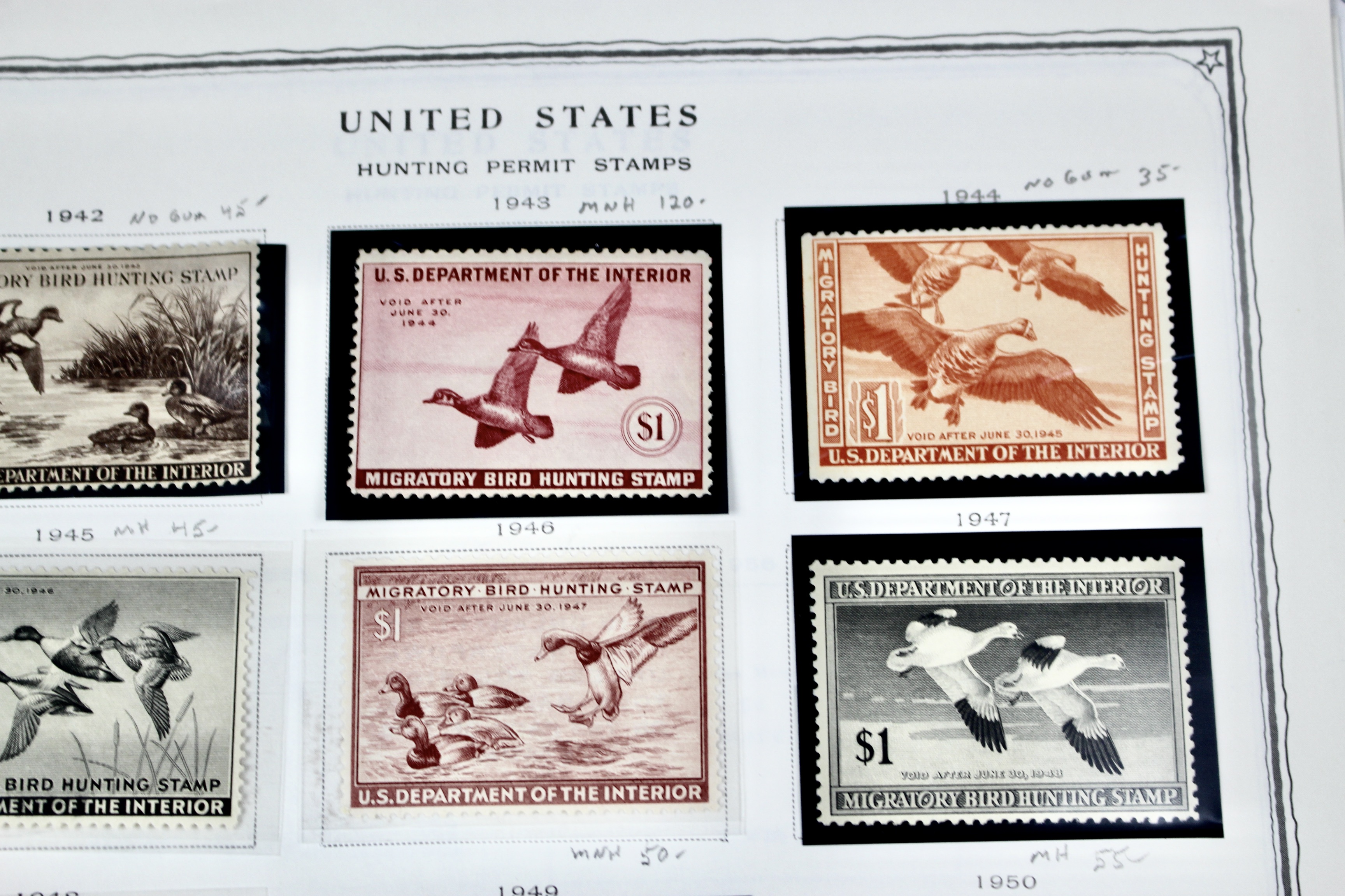 Extensive Early U.S. Duck Stamp Collection, 1934 to 1987