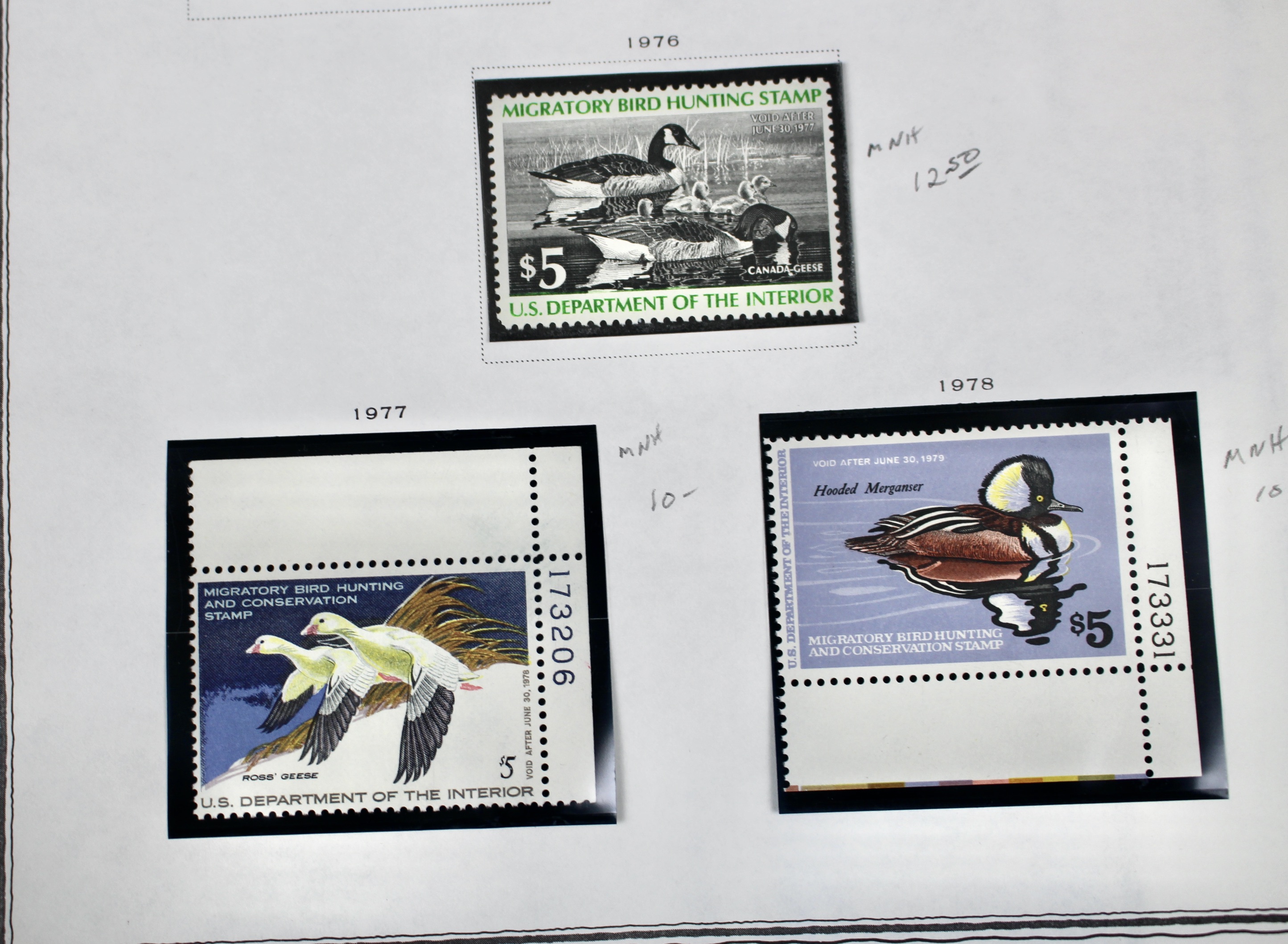 Extensive Early U.S. Duck Stamp Collection, 1934 to 1987