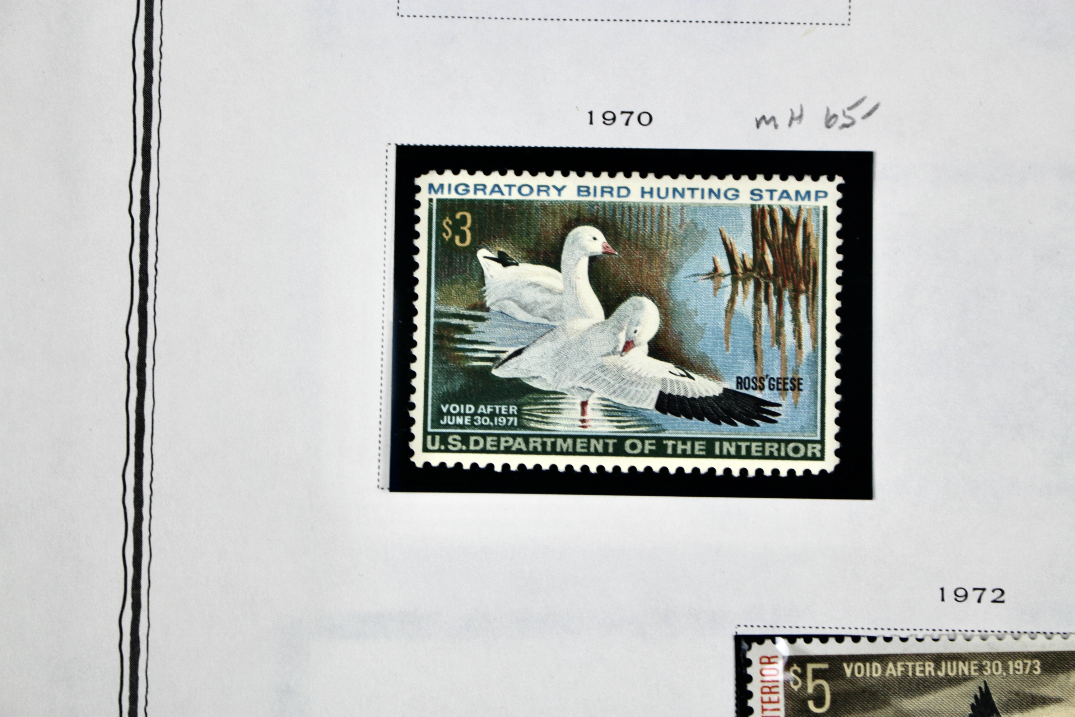 Extensive Early U.S. Duck Stamp Collection, 1934 to 1987