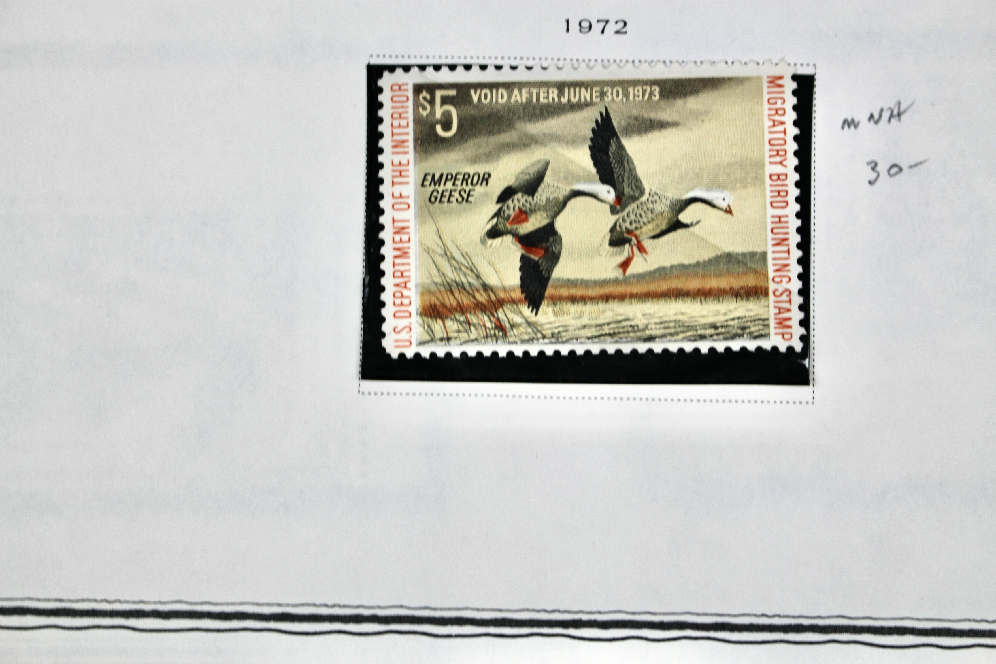 Extensive Early U.S. Duck Stamp Collection, 1934 to 1987