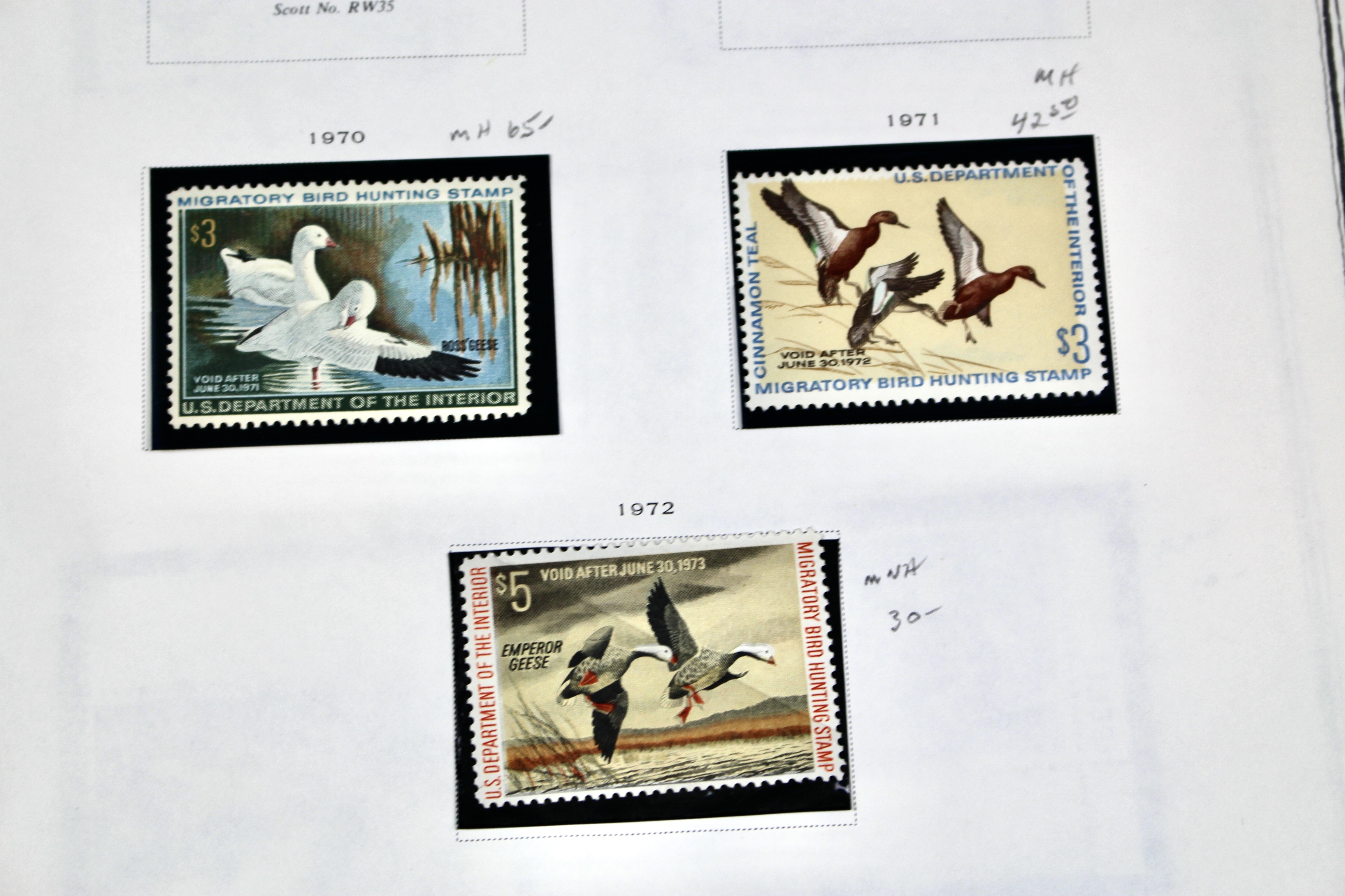 Extensive Early U.S. Duck Stamp Collection, 1934 to 1987