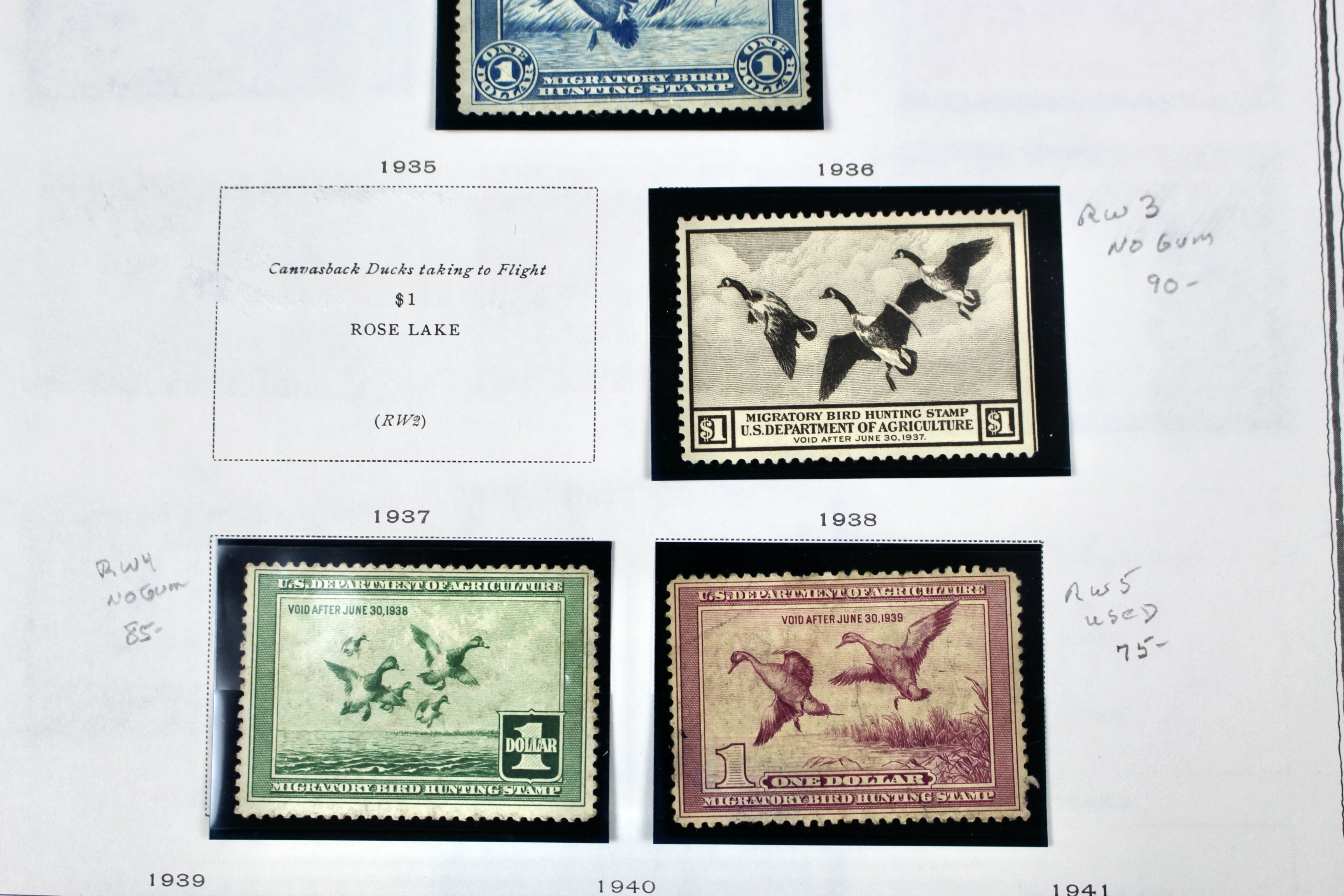 Extensive Early U.S. Duck Stamp Collection, 1934 to 1987