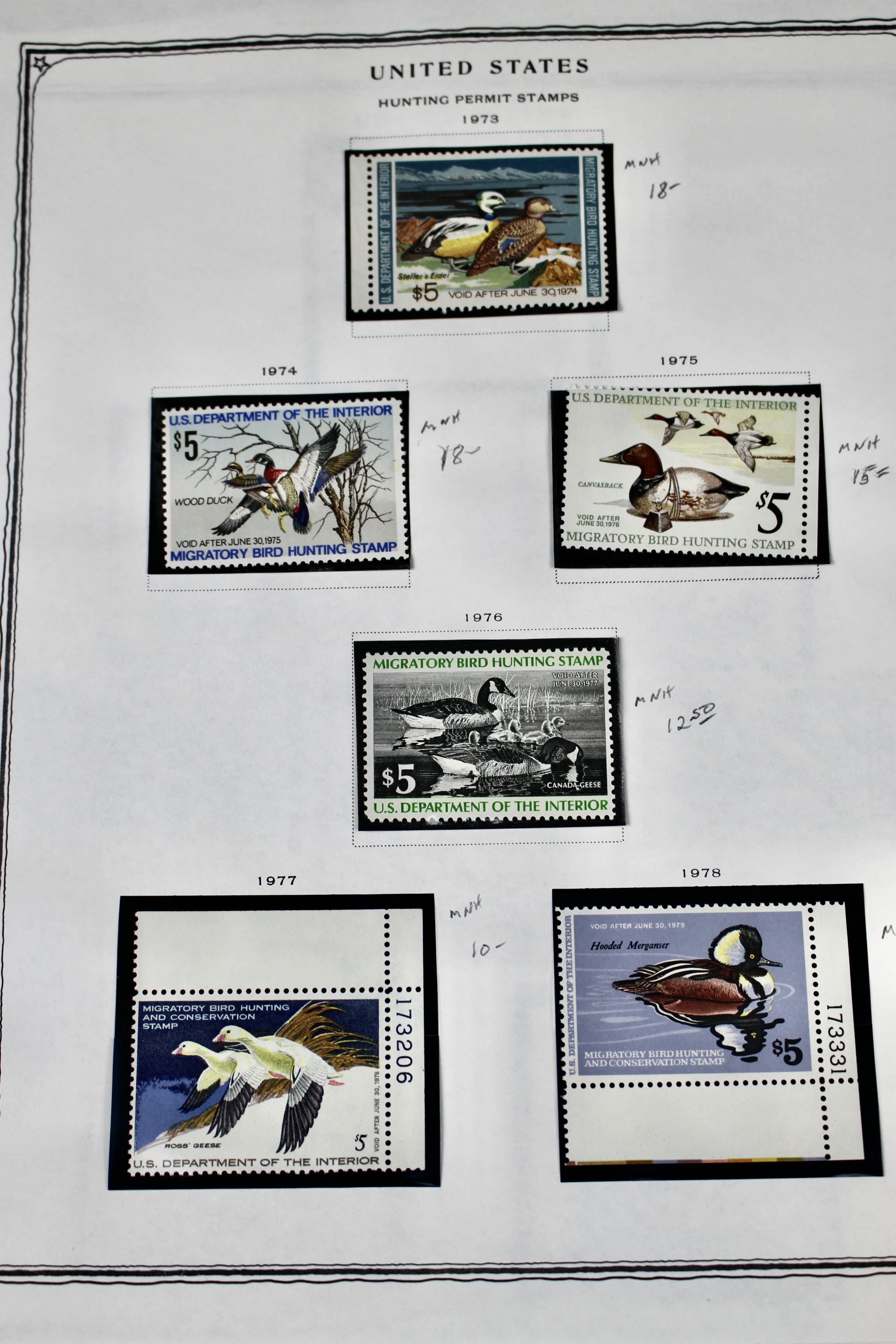 Extensive Early U.S. Duck Stamp Collection, 1934 to 1987