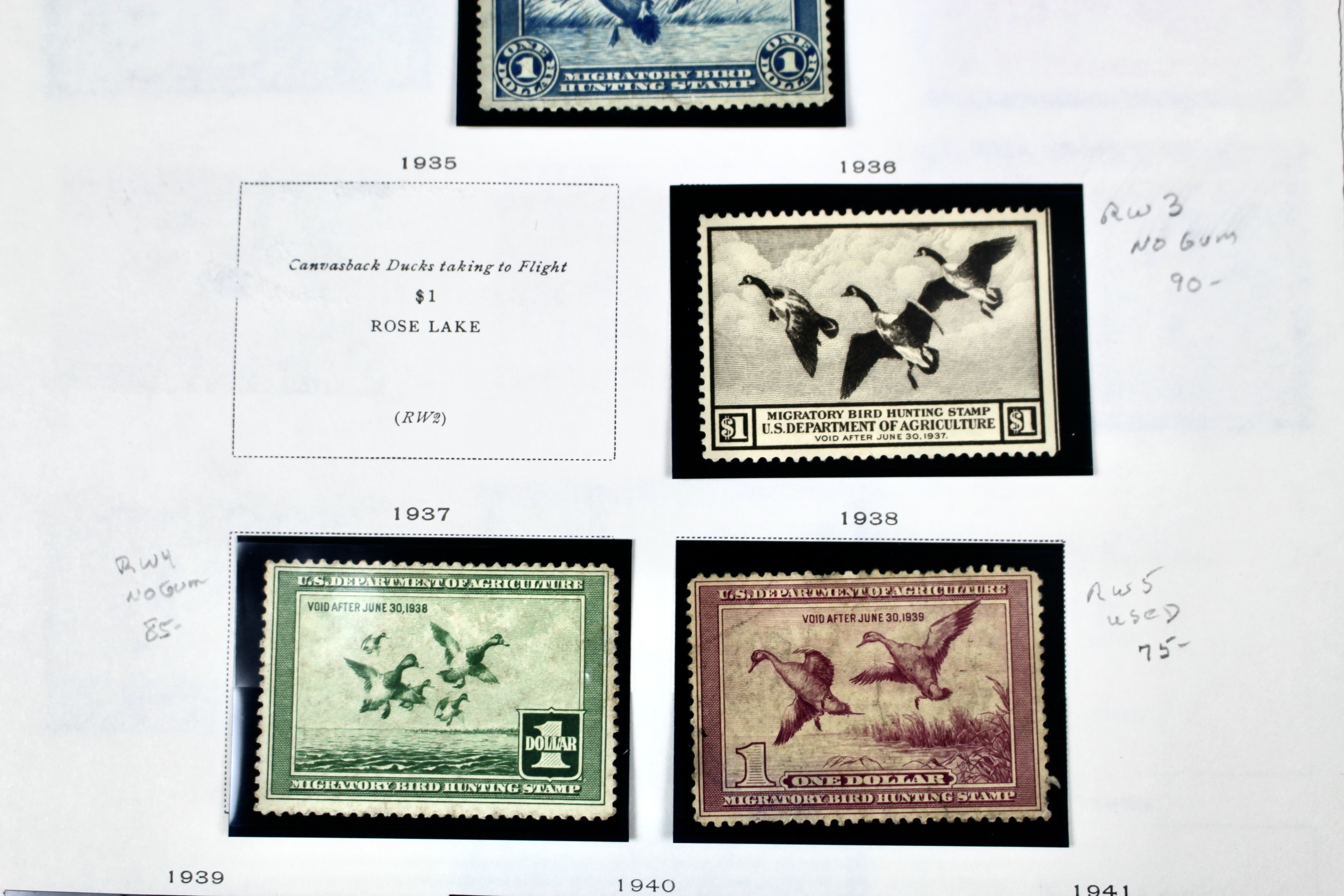 Extensive Early U.S. Duck Stamp Collection, 1934 to 1987
