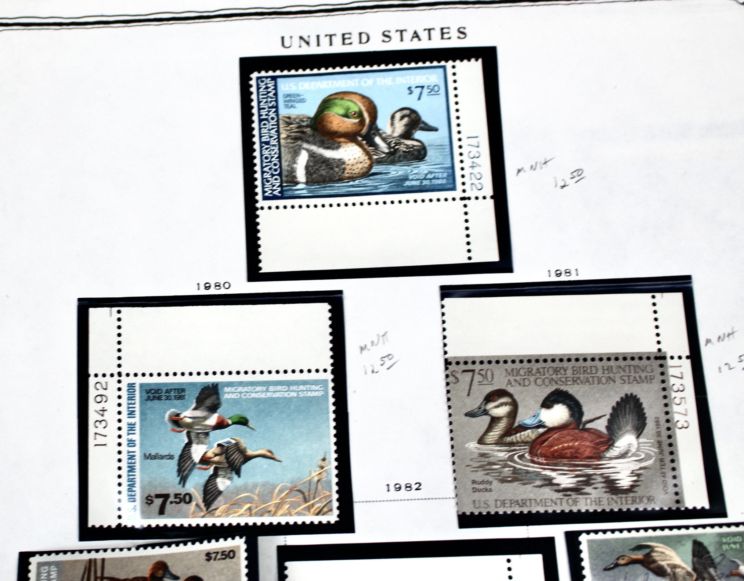 Extensive Early U.S. Duck Stamp Collection, 1934 to 1987