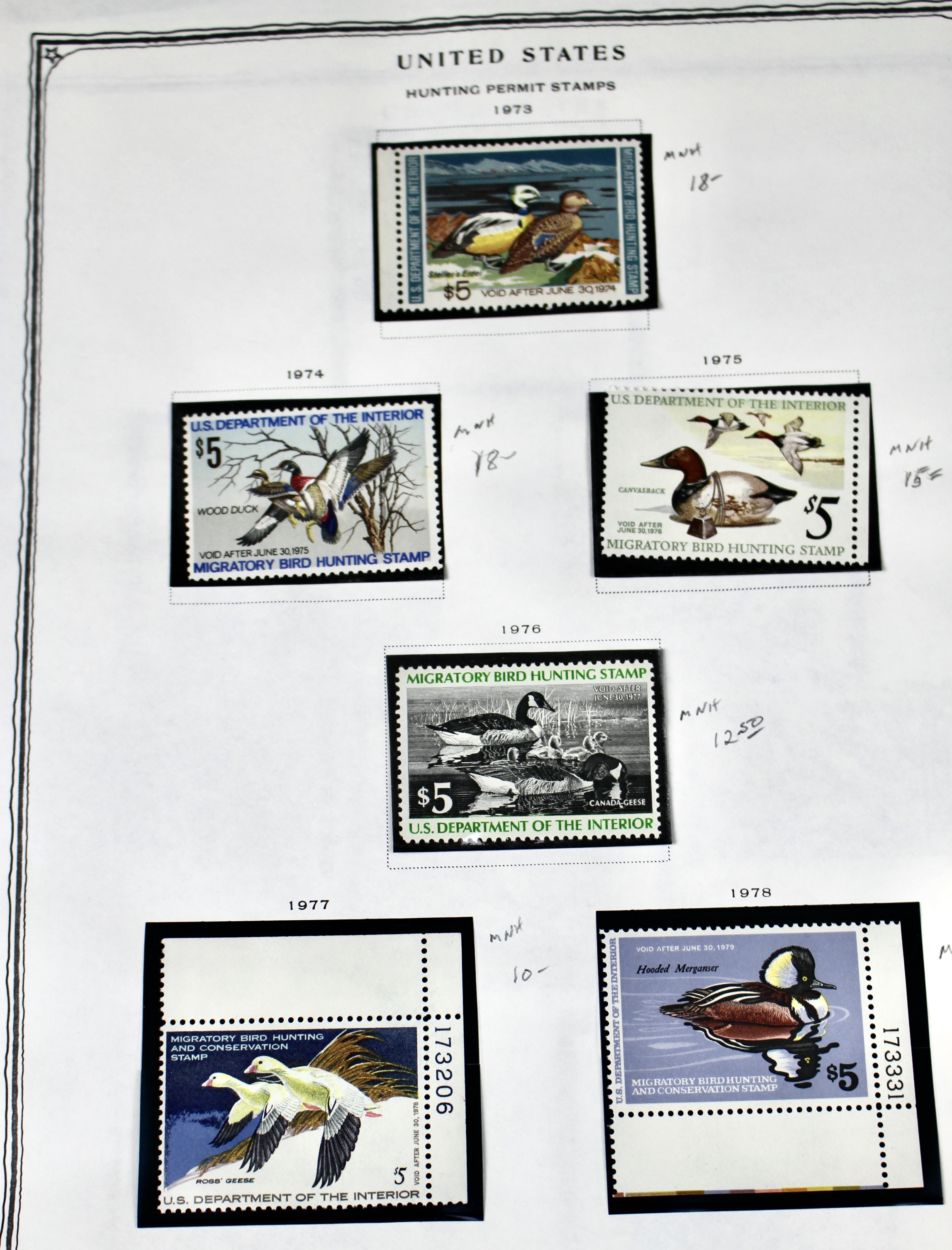 Extensive Early U.S. Duck Stamp Collection, 1934 to 1987