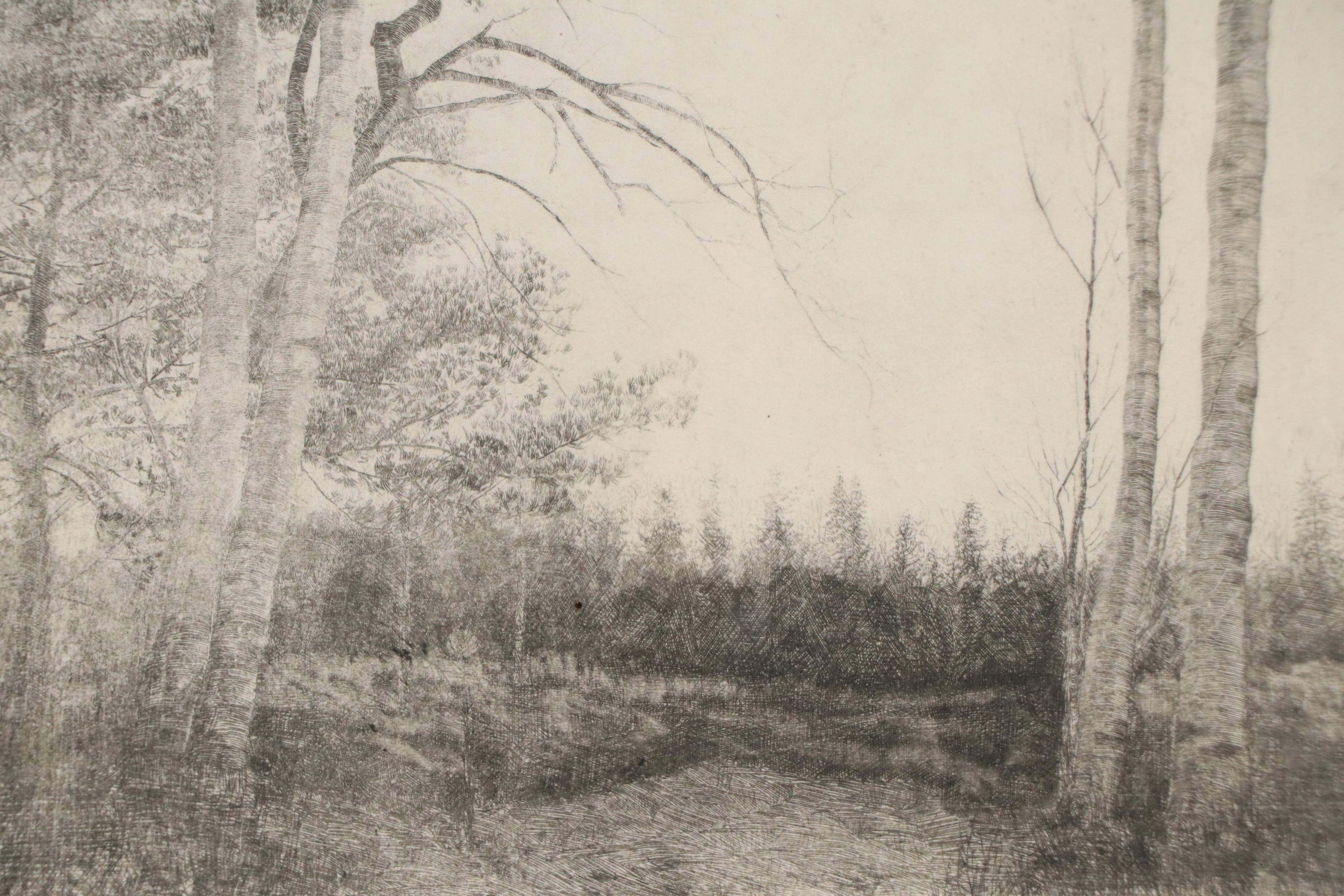 Don Swann Wooded Landscape Etching "Stormy Sky"