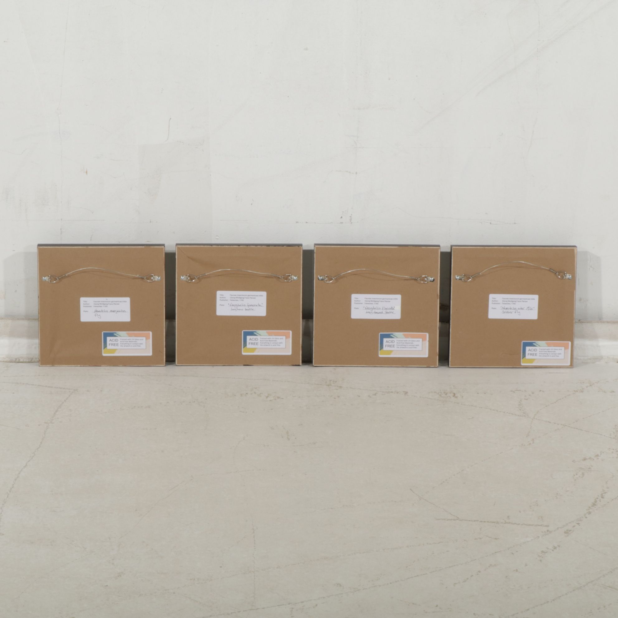 Antique German Hand-Colored Entomological Engravings, Circa 1793