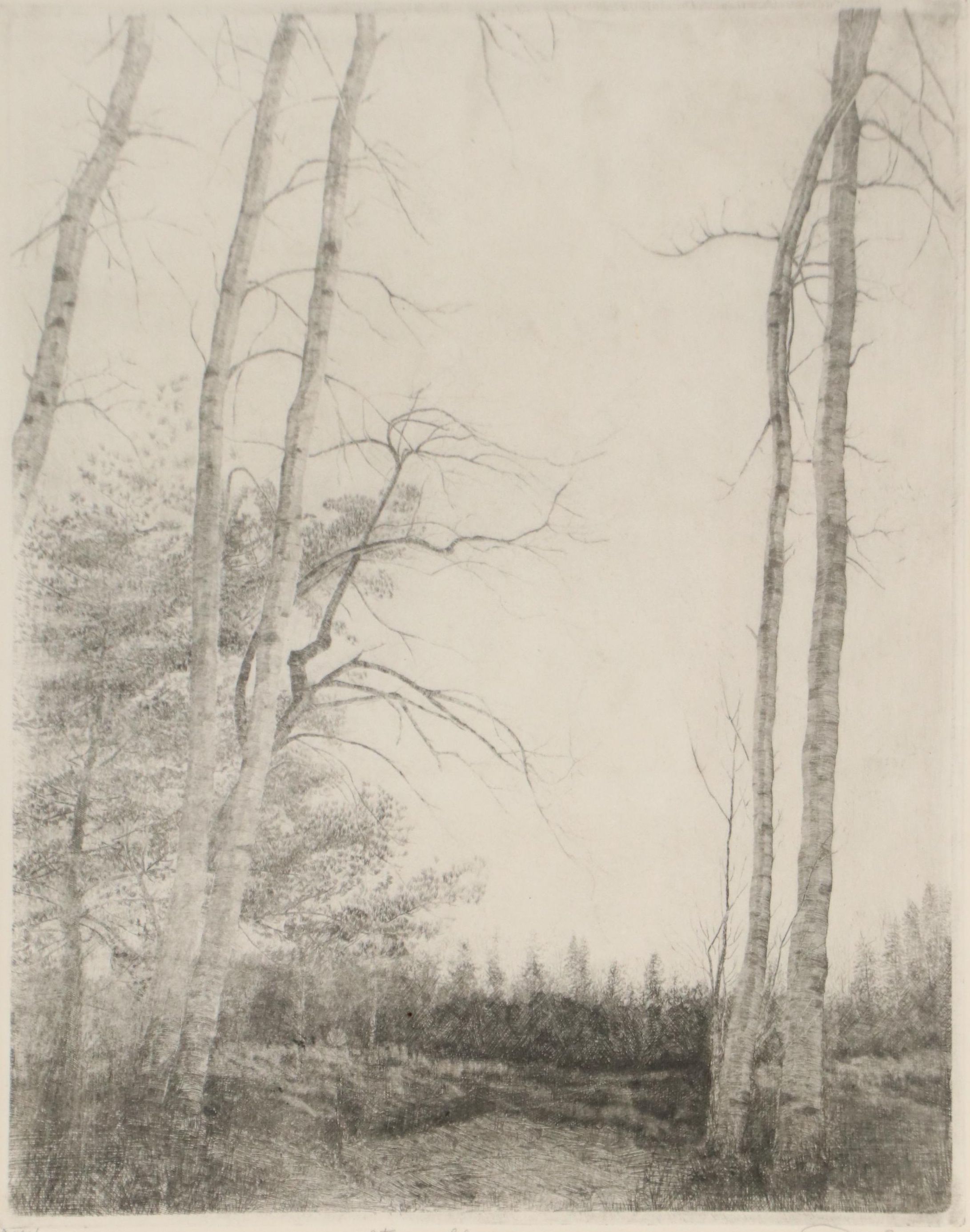Don Swann Wooded Landscape Etching "Stormy Sky"