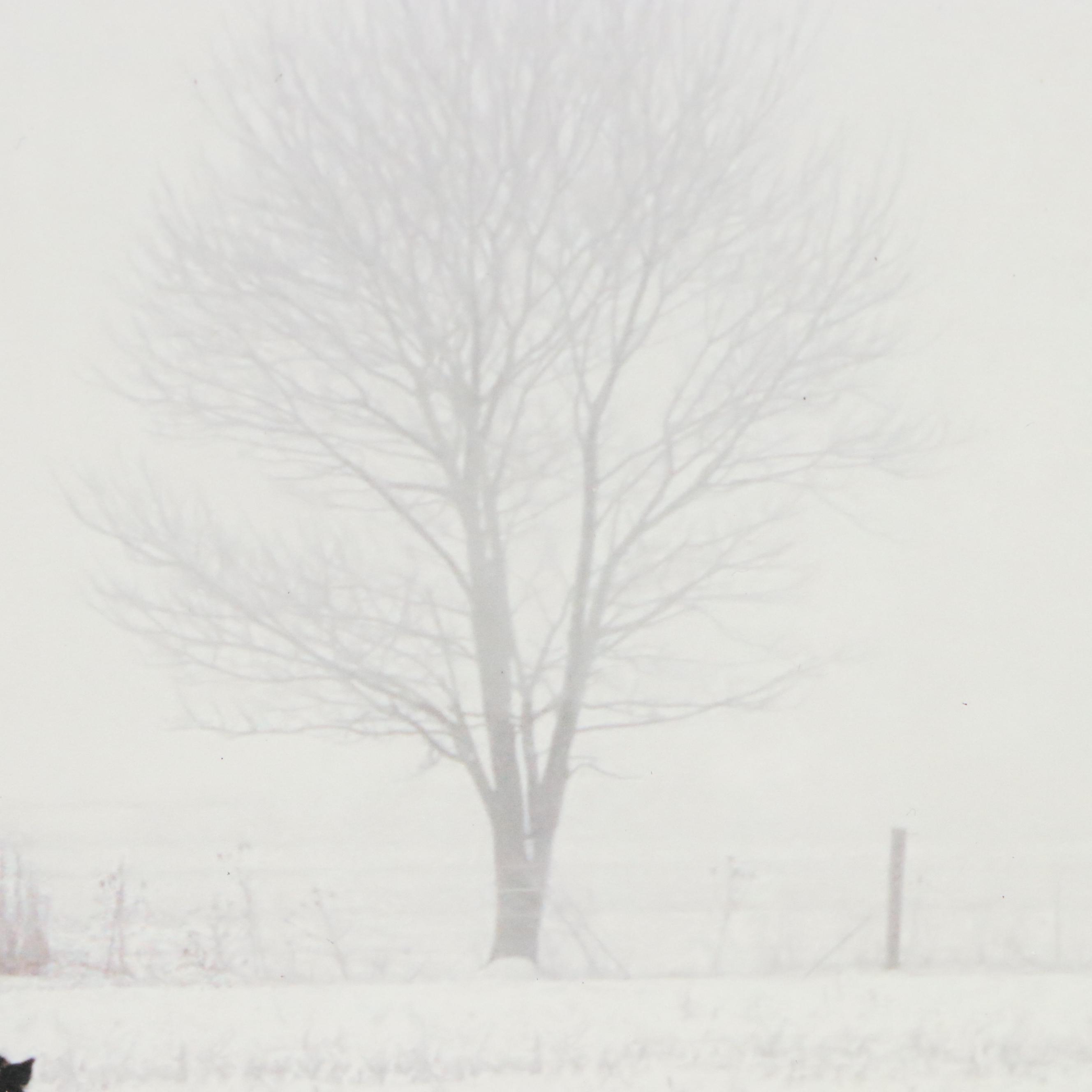 Digital Print of Horse in Rural Winter Landscape
