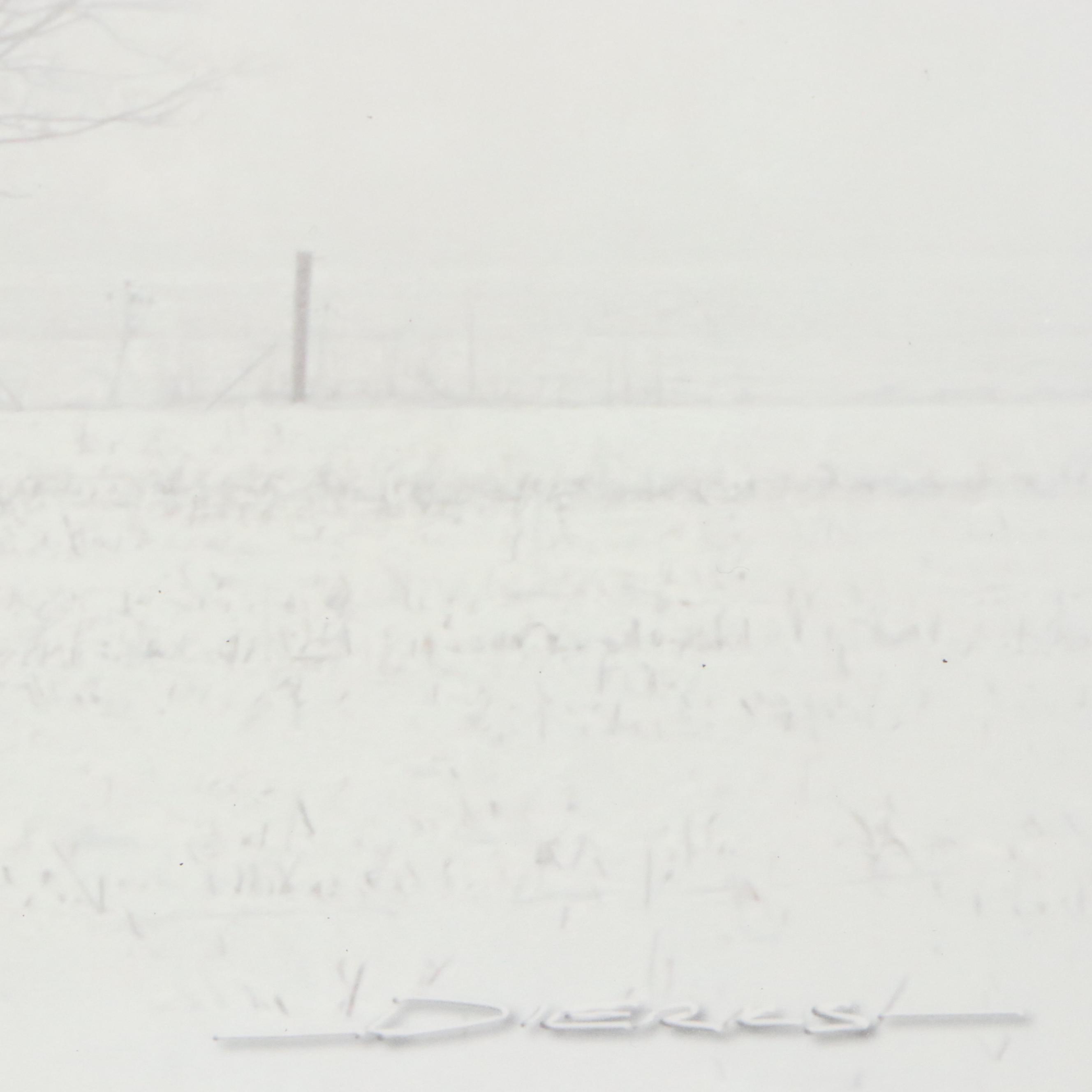 Digital Print of Horse in Rural Winter Landscape