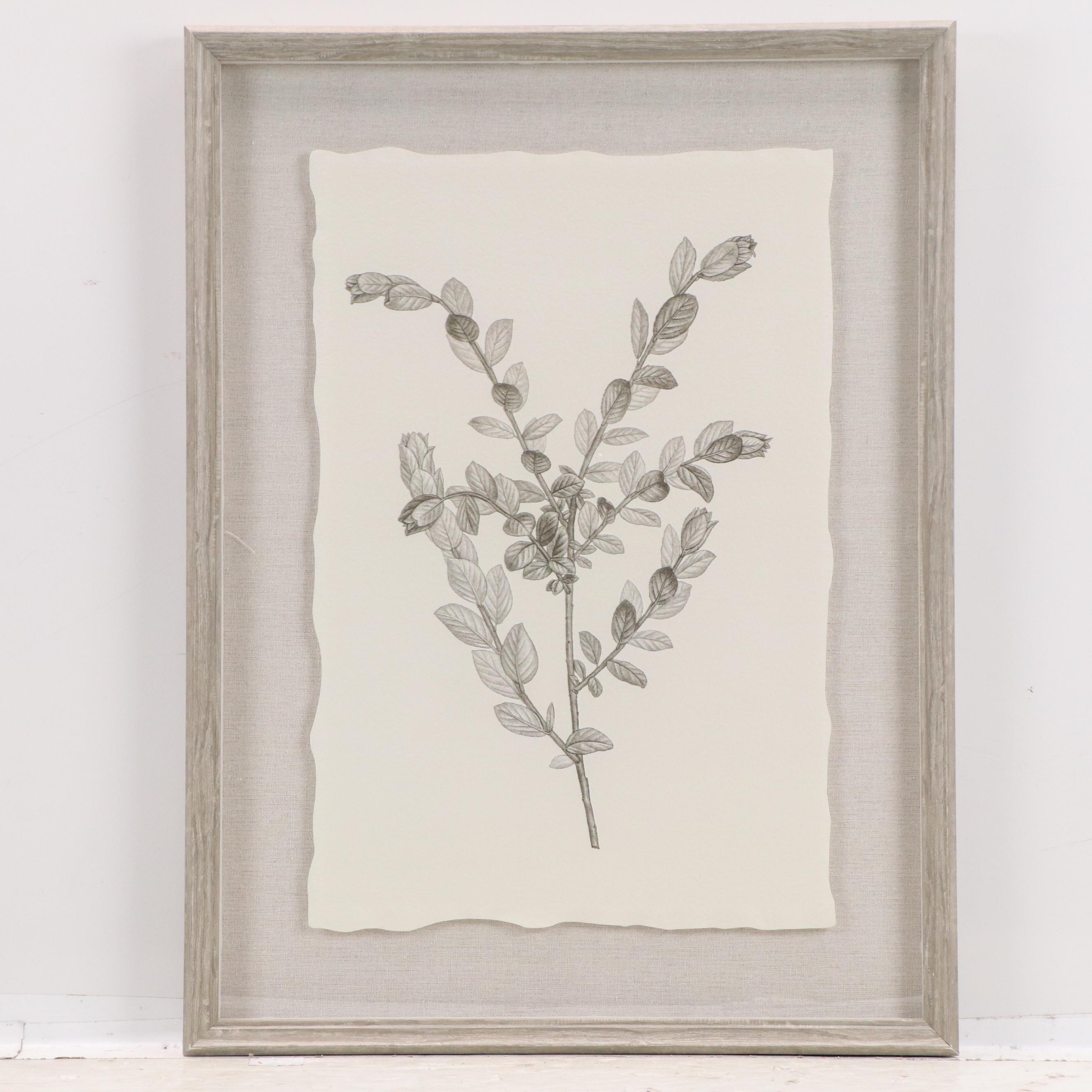 Botanical Offset Lithographs After Denise Brown, 2025