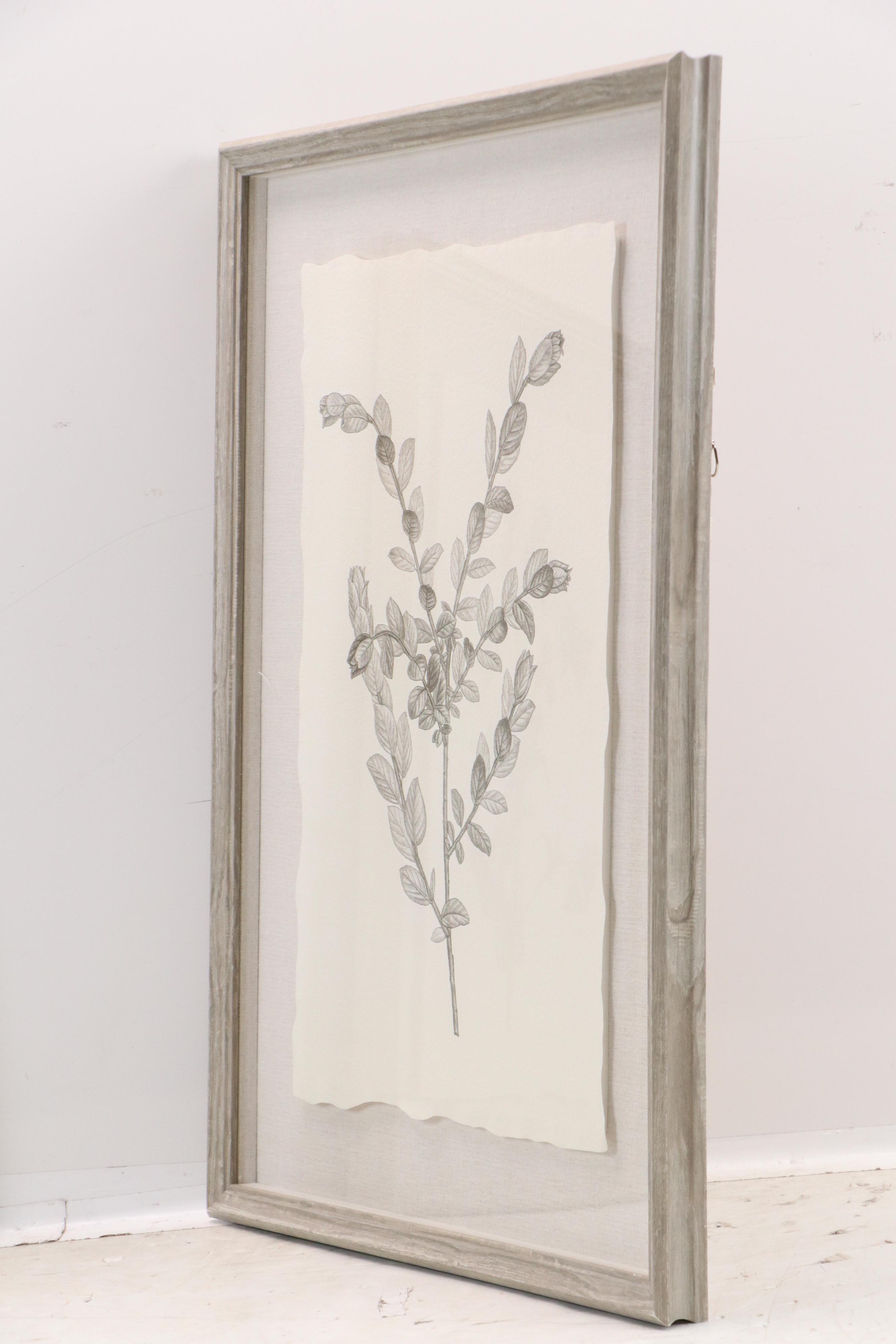 Botanical Offset Lithographs After Denise Brown, 2025