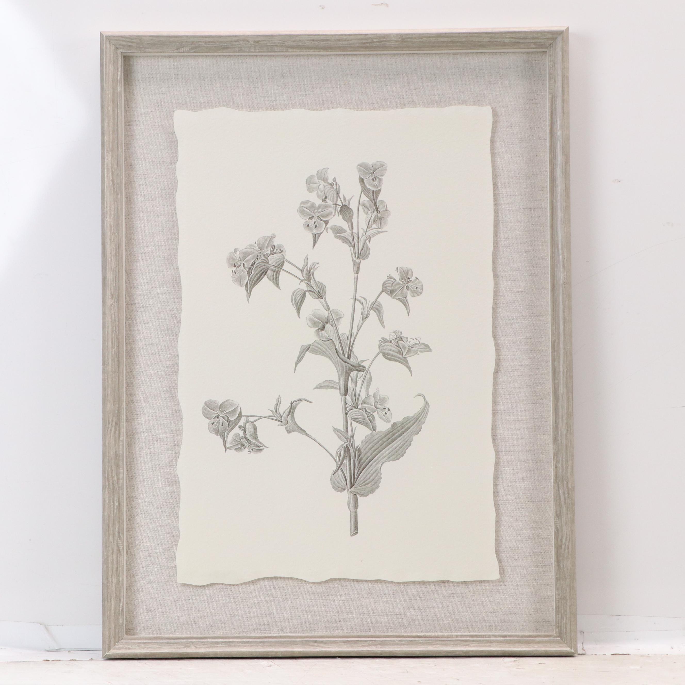 Botanical Offset Lithographs After Denise Brown, 2025