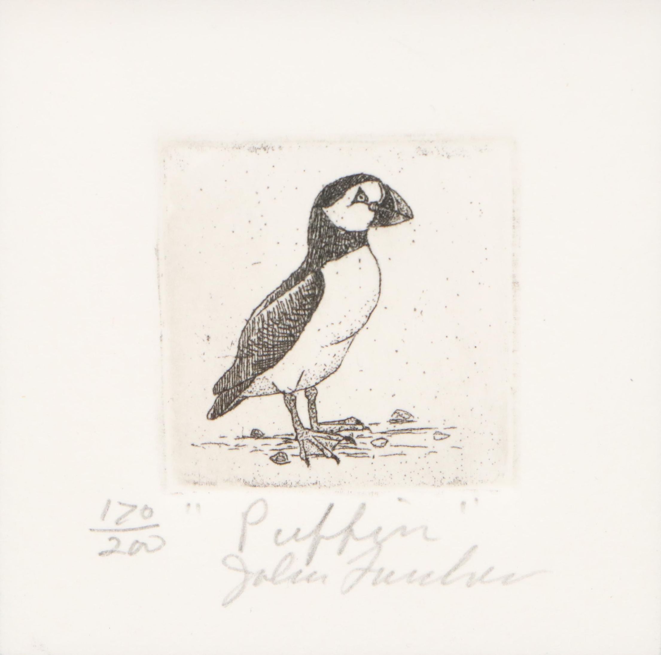 John Furches Miniature Etching "Puffin"