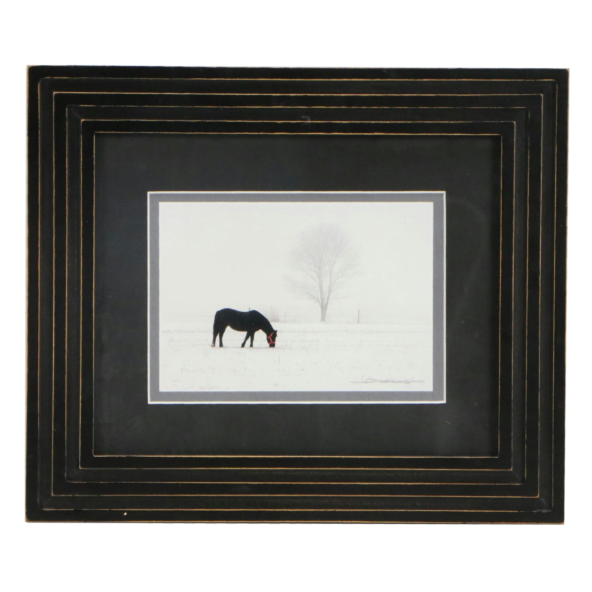 Digital Print of Horse in Rural Winter Landscape