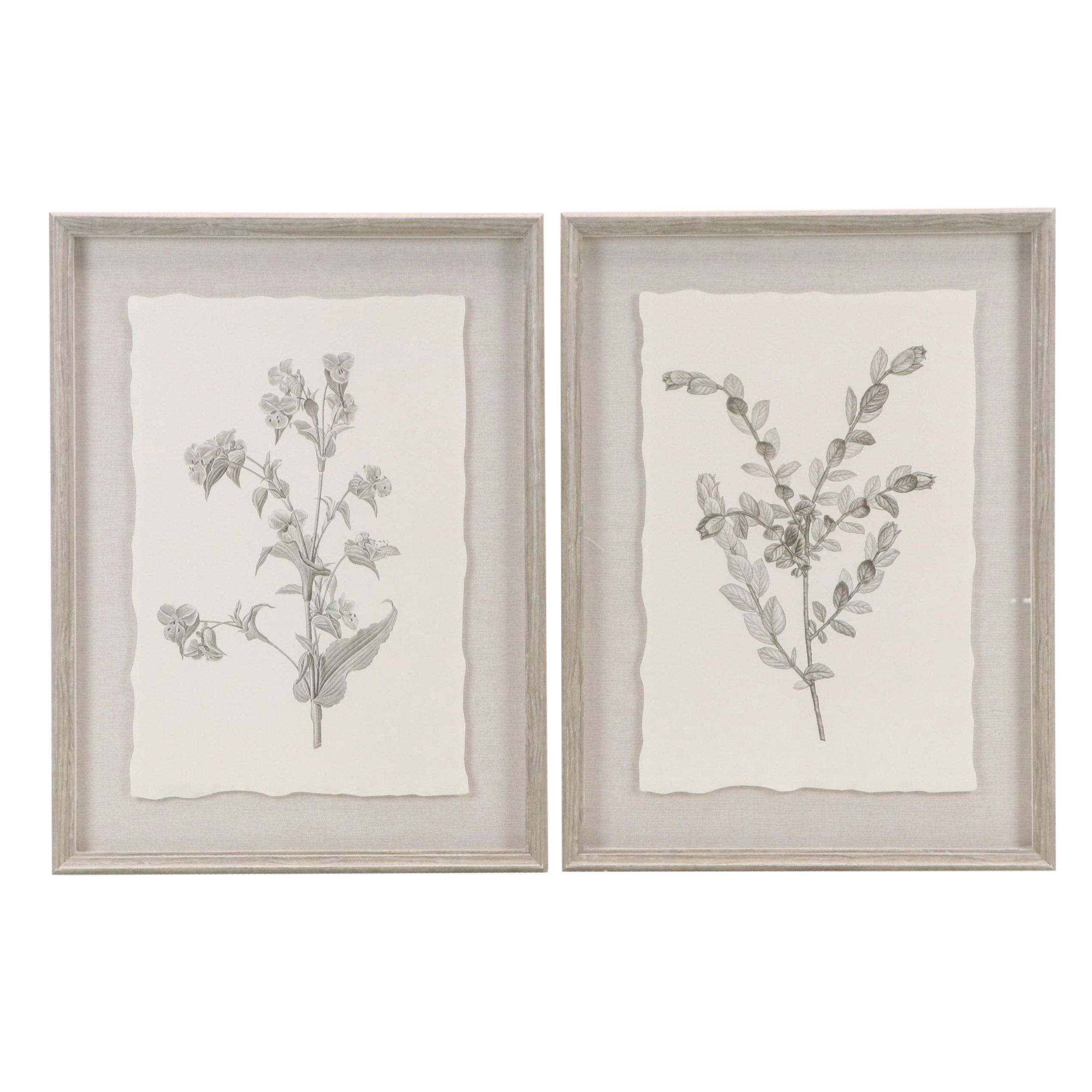 Botanical Offset Lithographs After Denise Brown, 2025