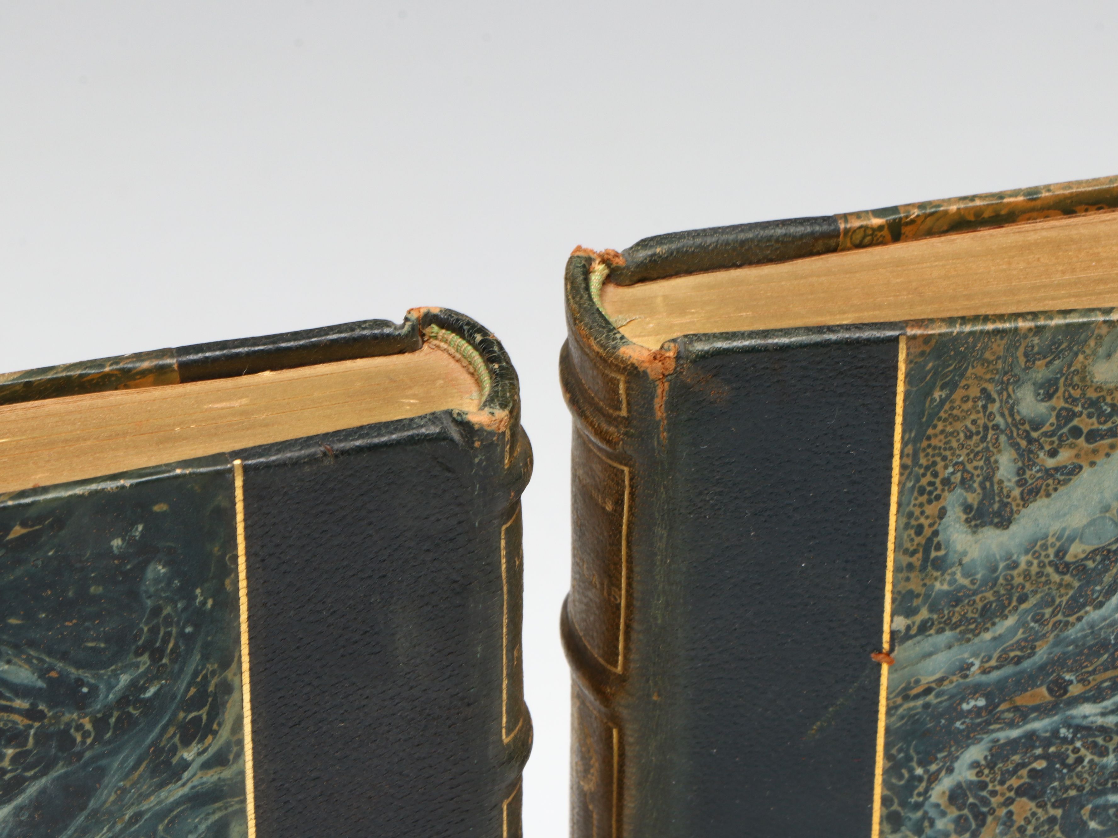 "Les cinq livres de F. Rabelais" Partial Set, Early 20th Century