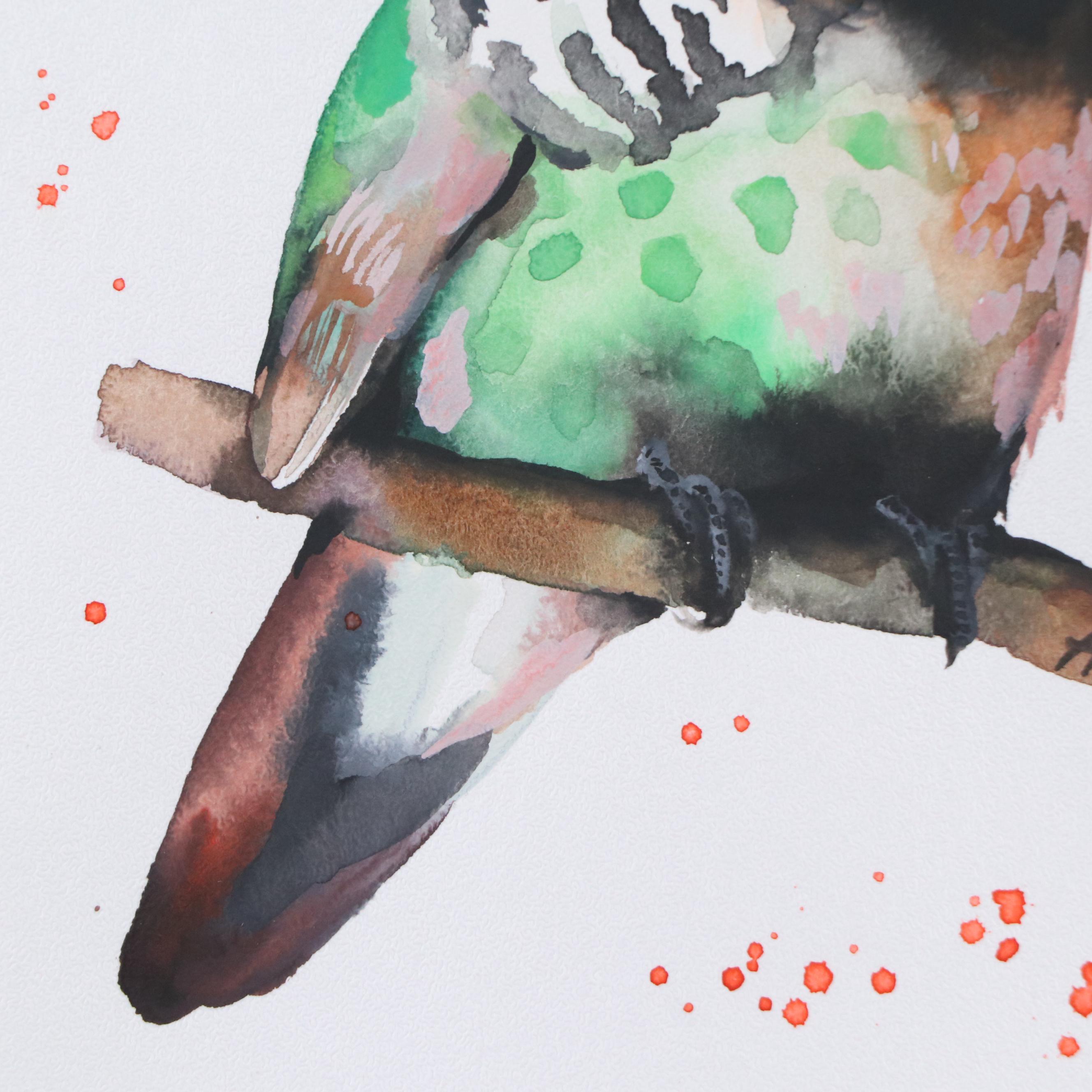 Anne Gorywine Watercolor Painting of Frilled Coquette Hummingbird, 2023