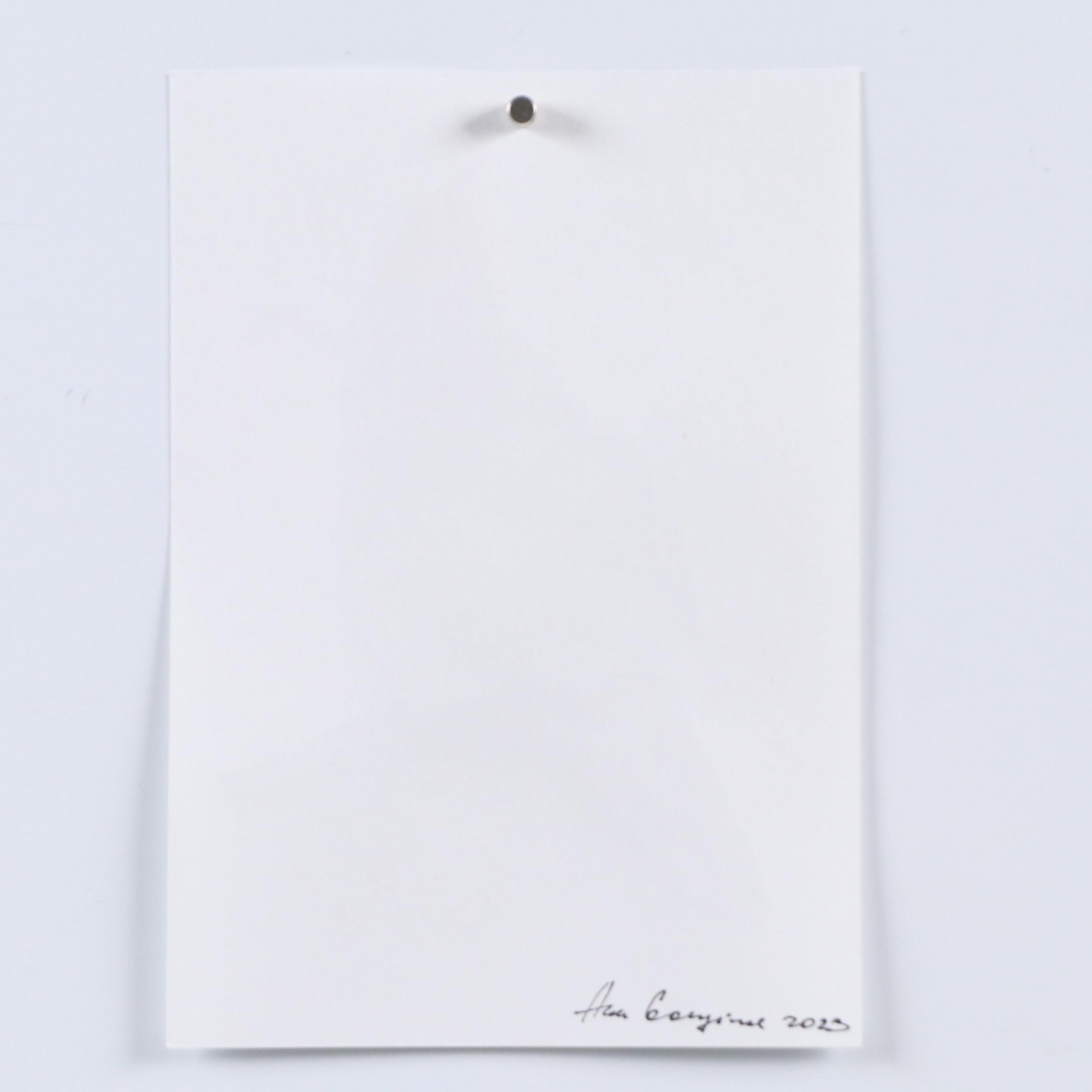 Anne Gorywine Watercolor Painting of Frilled Coquette Hummingbird, 2023