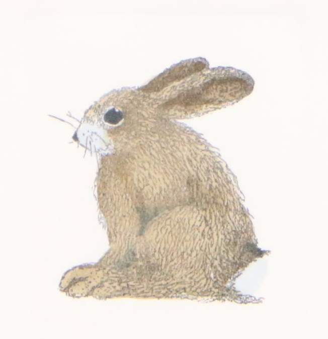 Marilu Tousignaut Drawing and Print of Rabbits, Circa 1978
