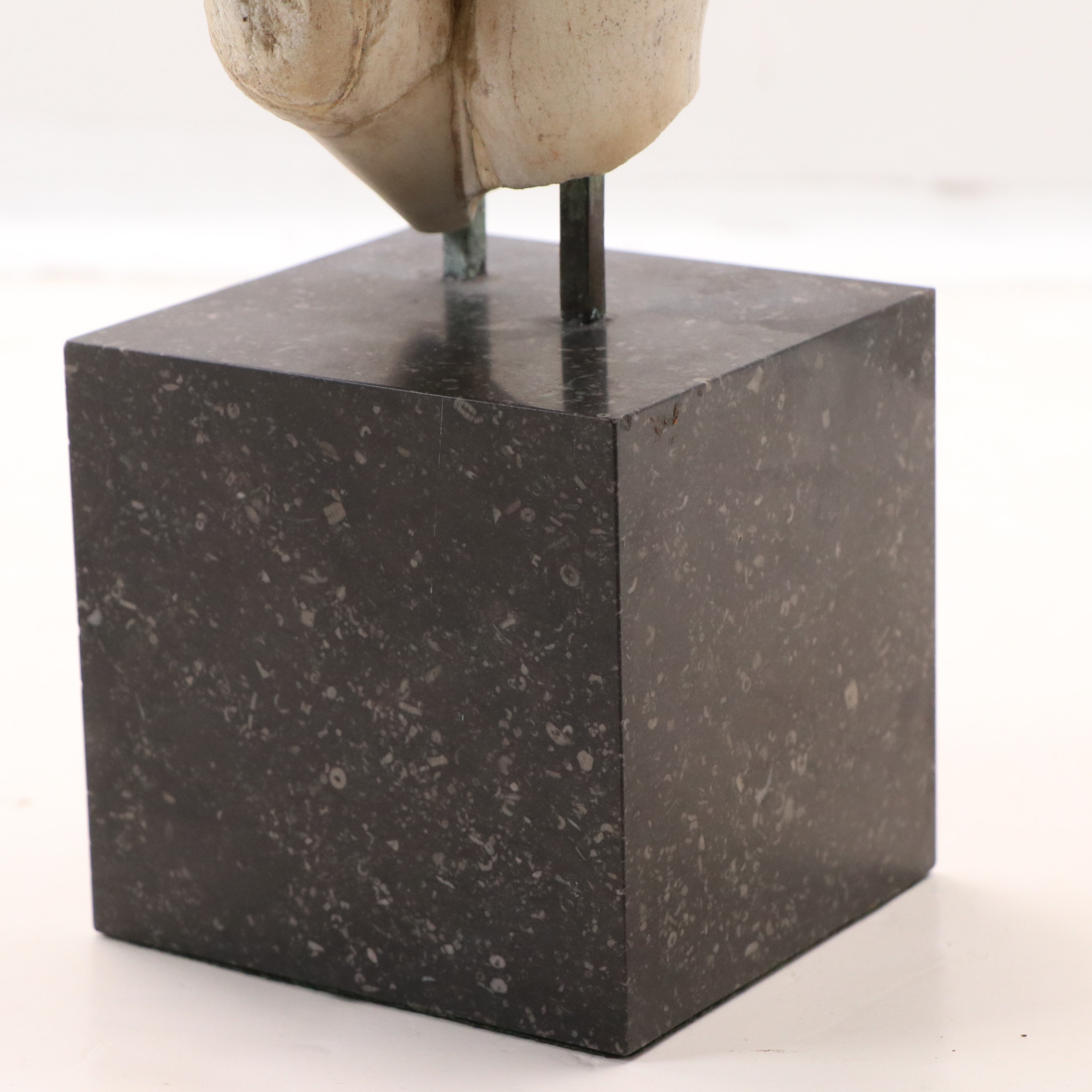 Ancient Roman Manner Venus Torso Marble Sculpture