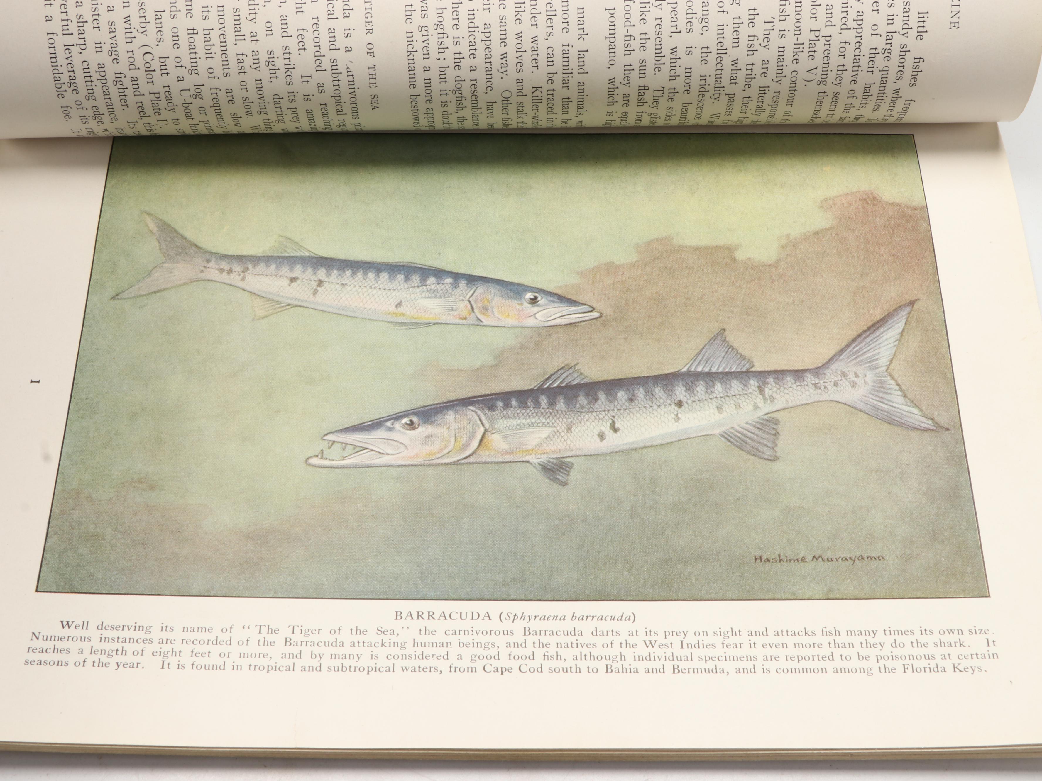 "The National Geographic Magazine" Vol. XLI and XLII Full Year Set, 1922