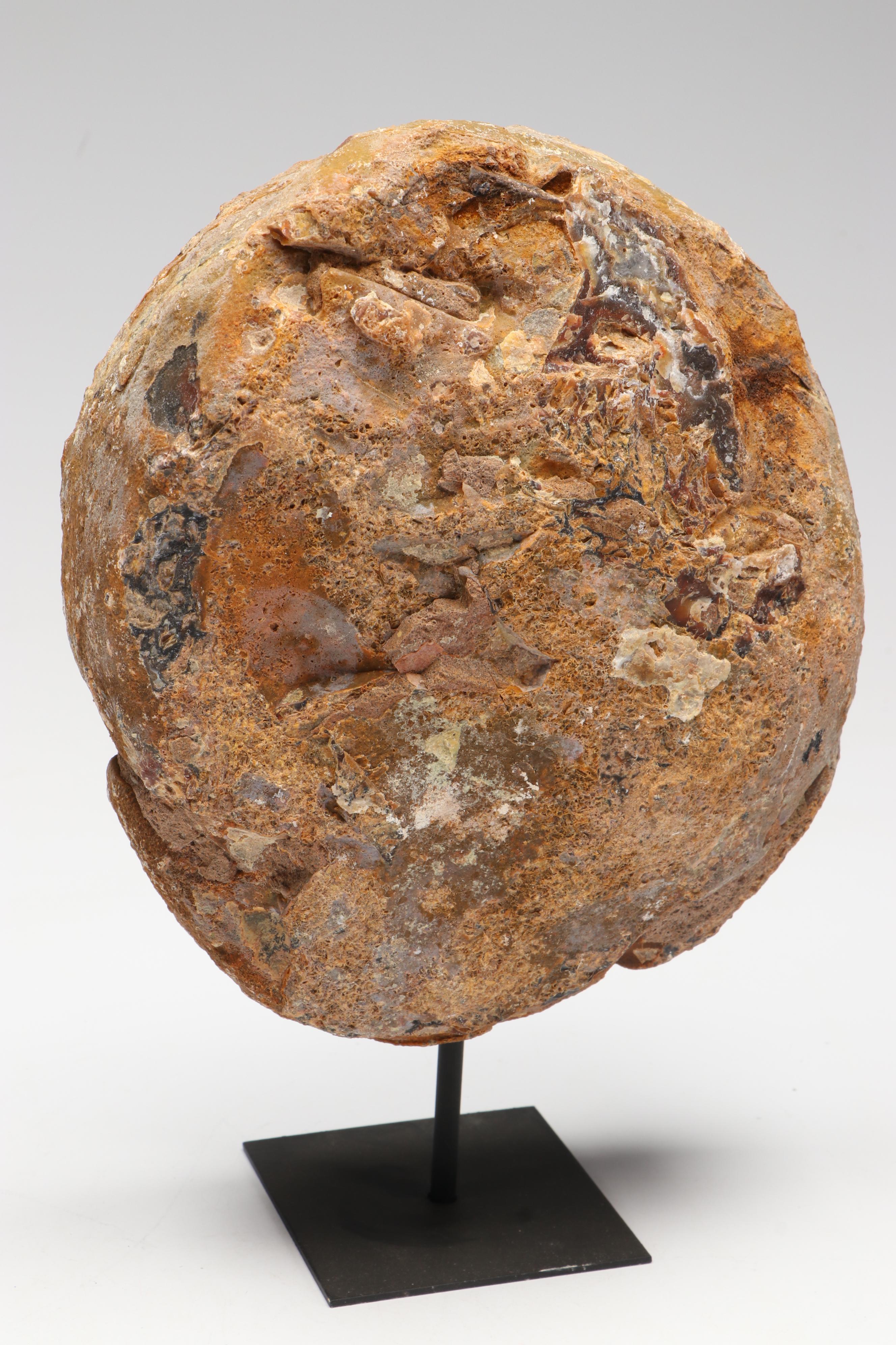 Thunderegg Half with Blue Lace and Banded Agate on Custom Stand