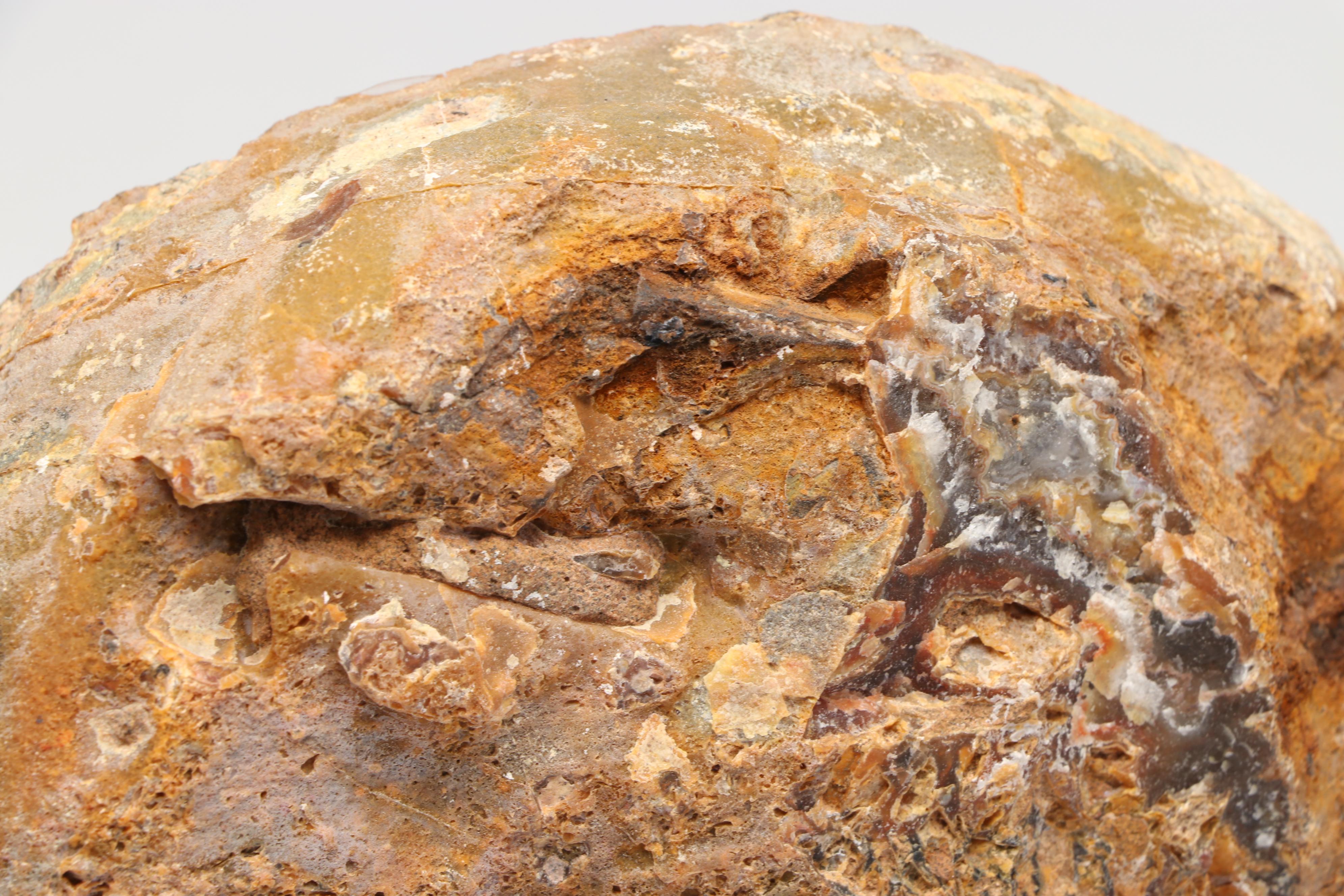 Thunderegg Half with Blue Lace and Banded Agate on Custom Stand