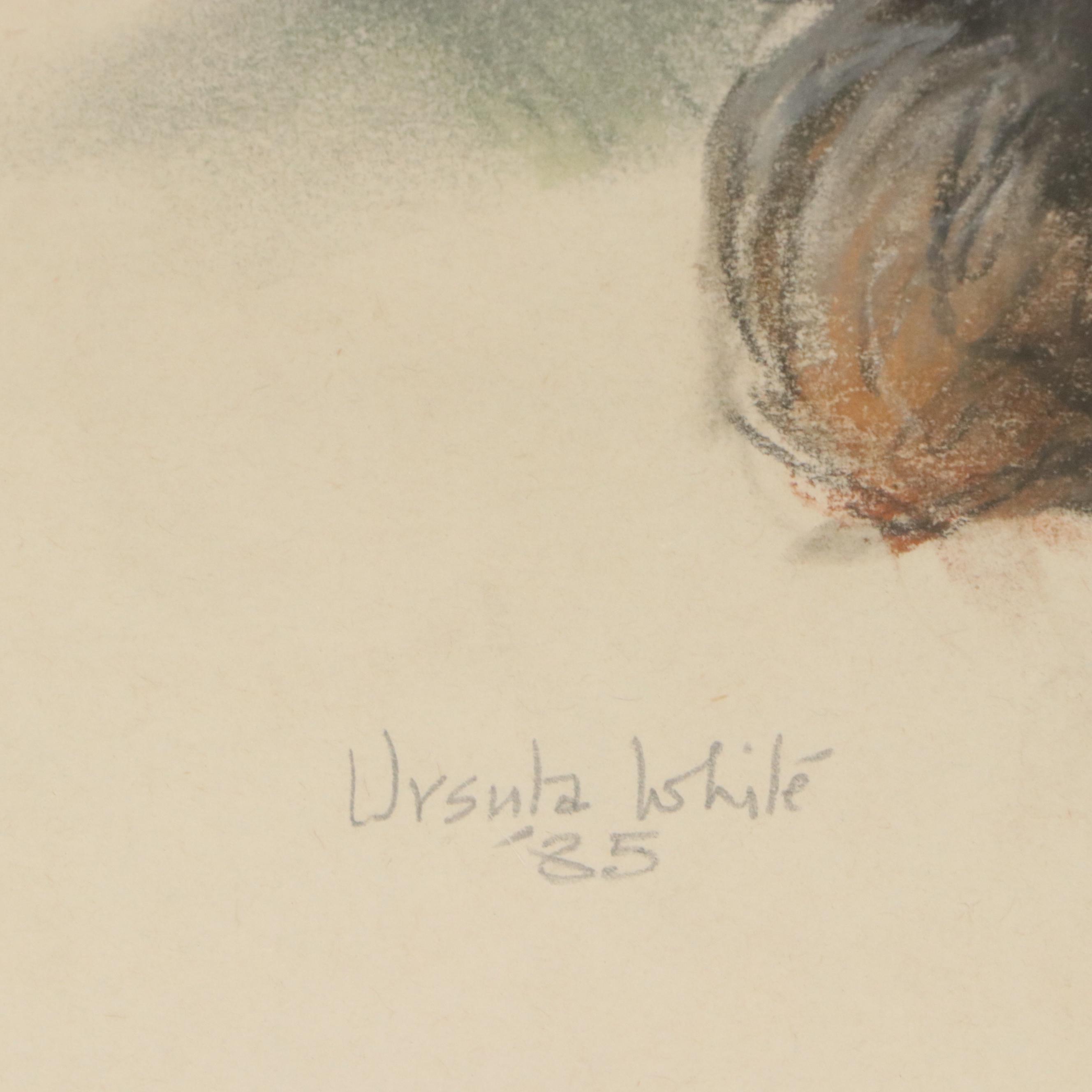 Ursula White Drawing of Two Yorkies, 1985