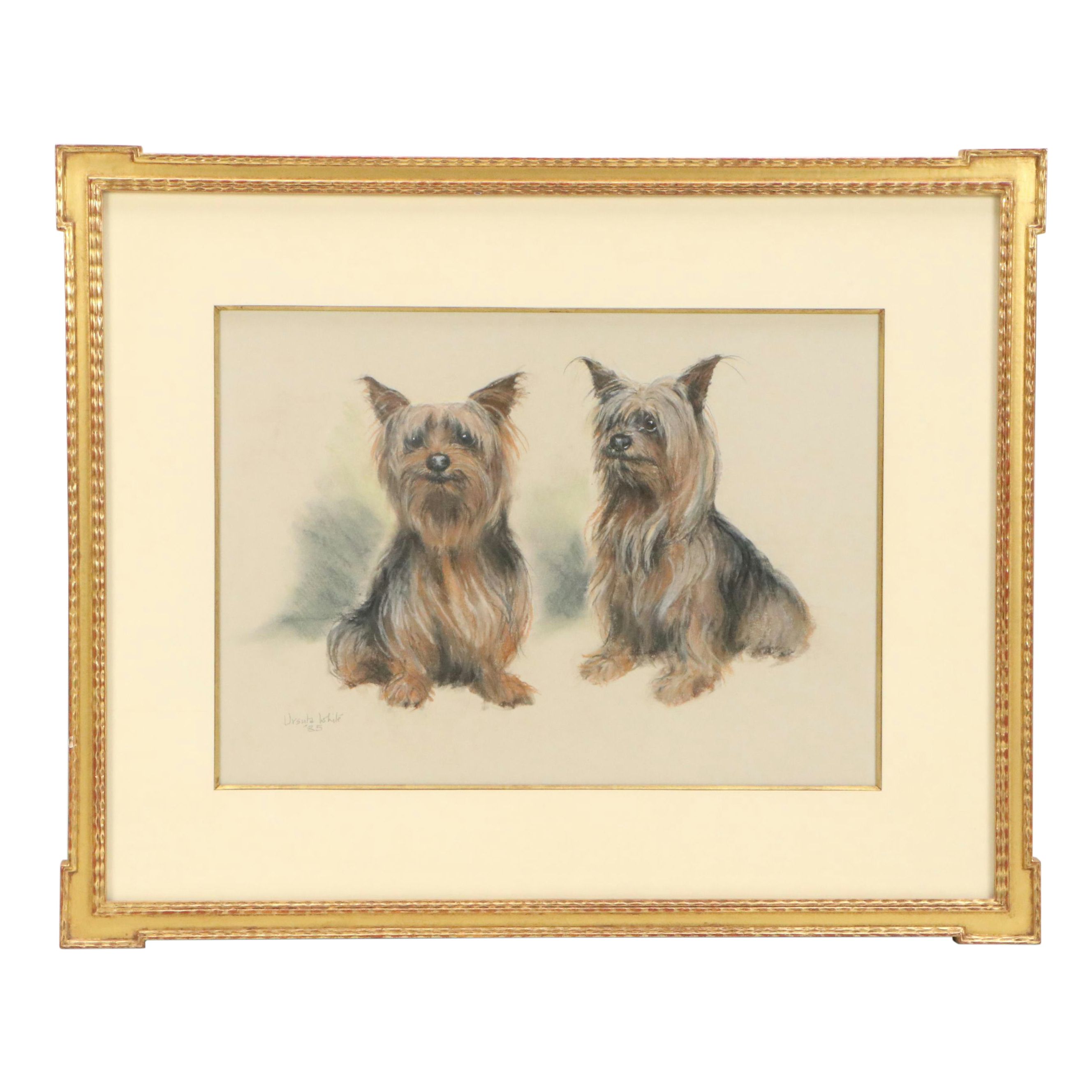 Ursula White Drawing of Two Yorkies, 1985
