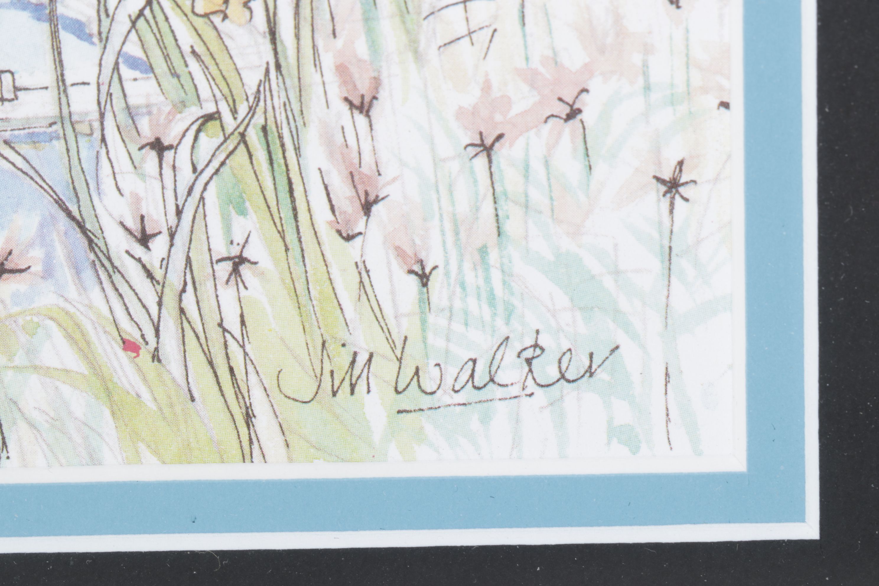 Offset Lithograph After Jill Walker "L'Anse Marcel, St. Martin"