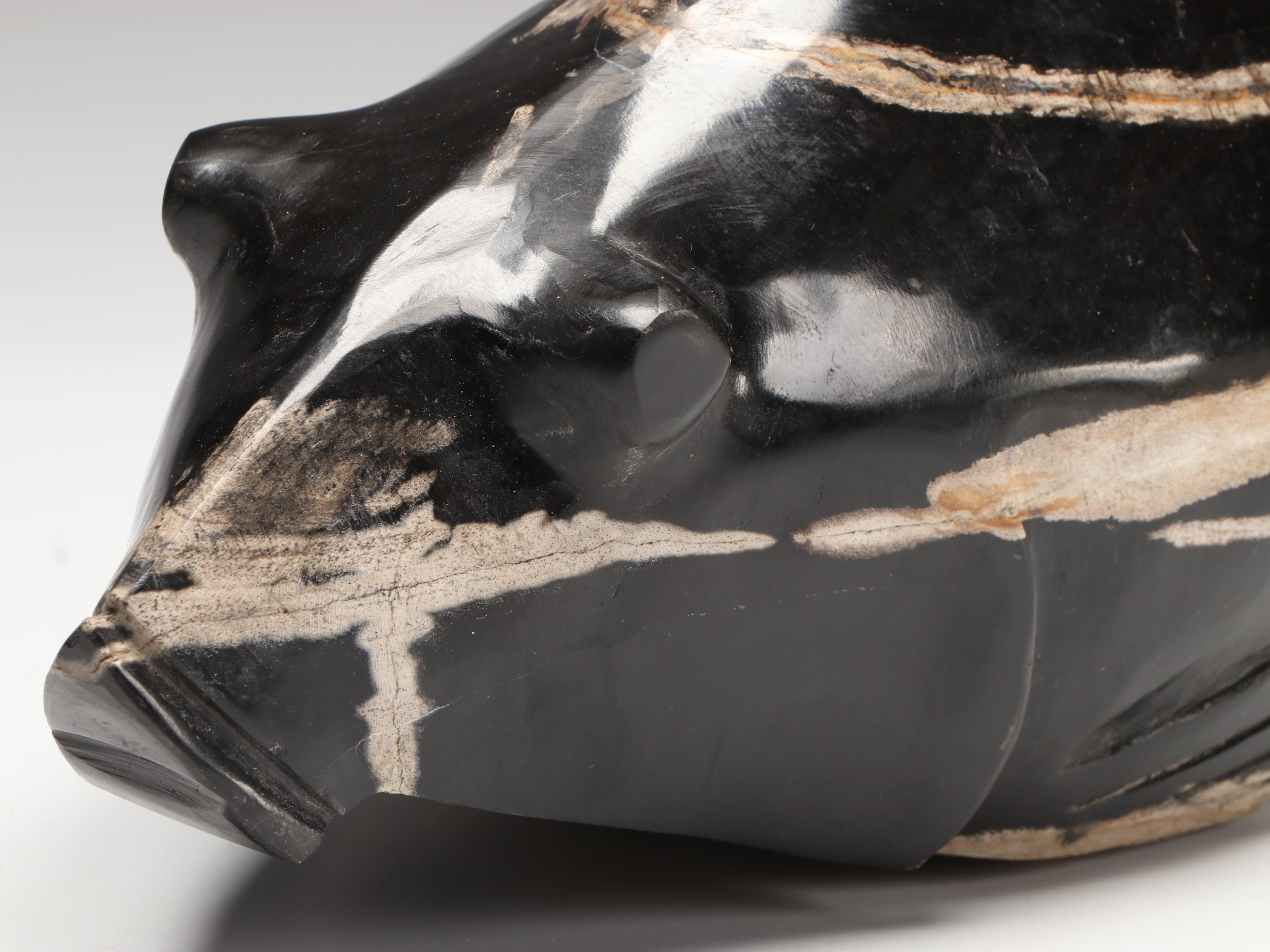 Hand-Carved Black Petrified Wood Catfish